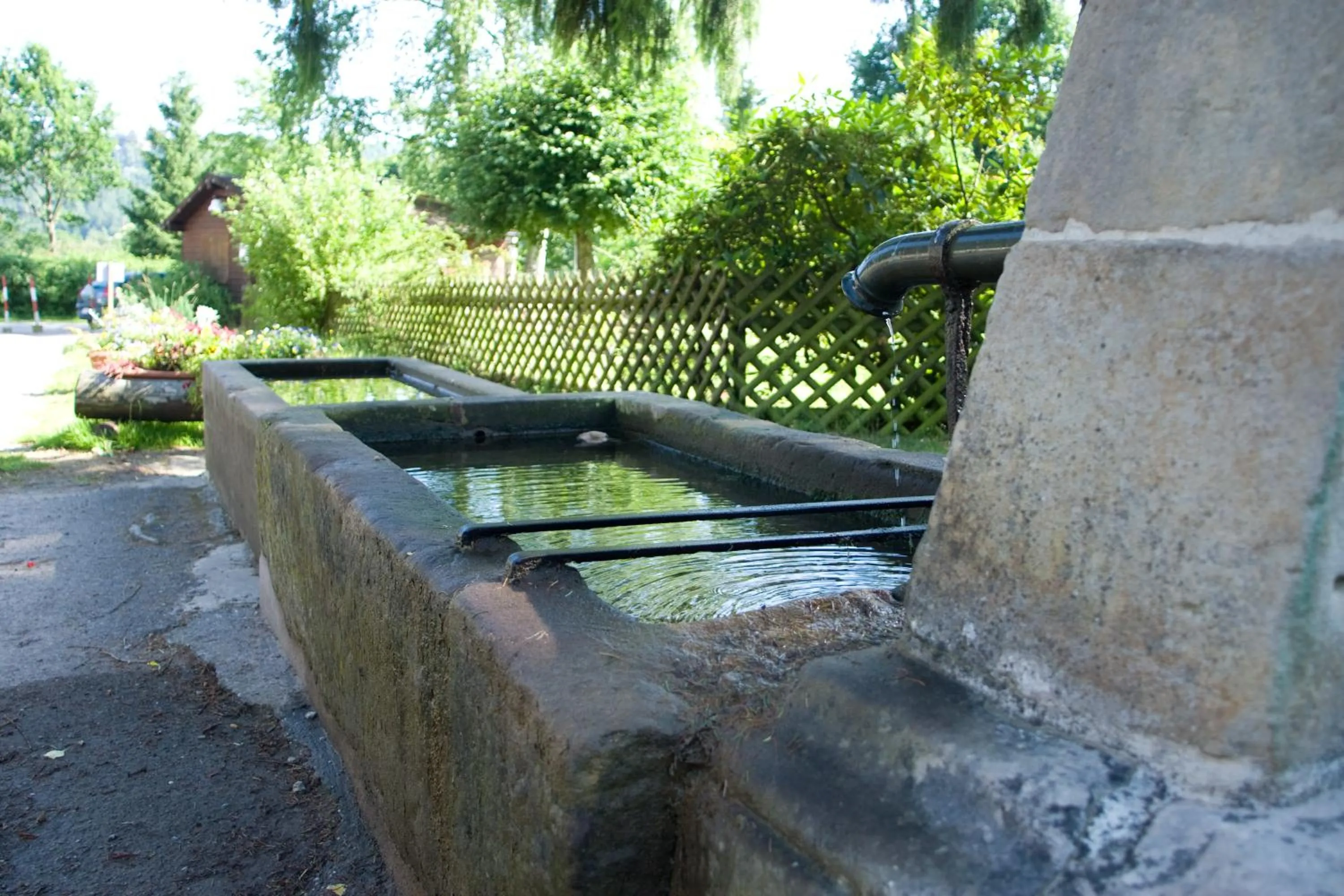 Facade/entrance in Logis Hôtel-Restaurant Auberge d'Imsthal