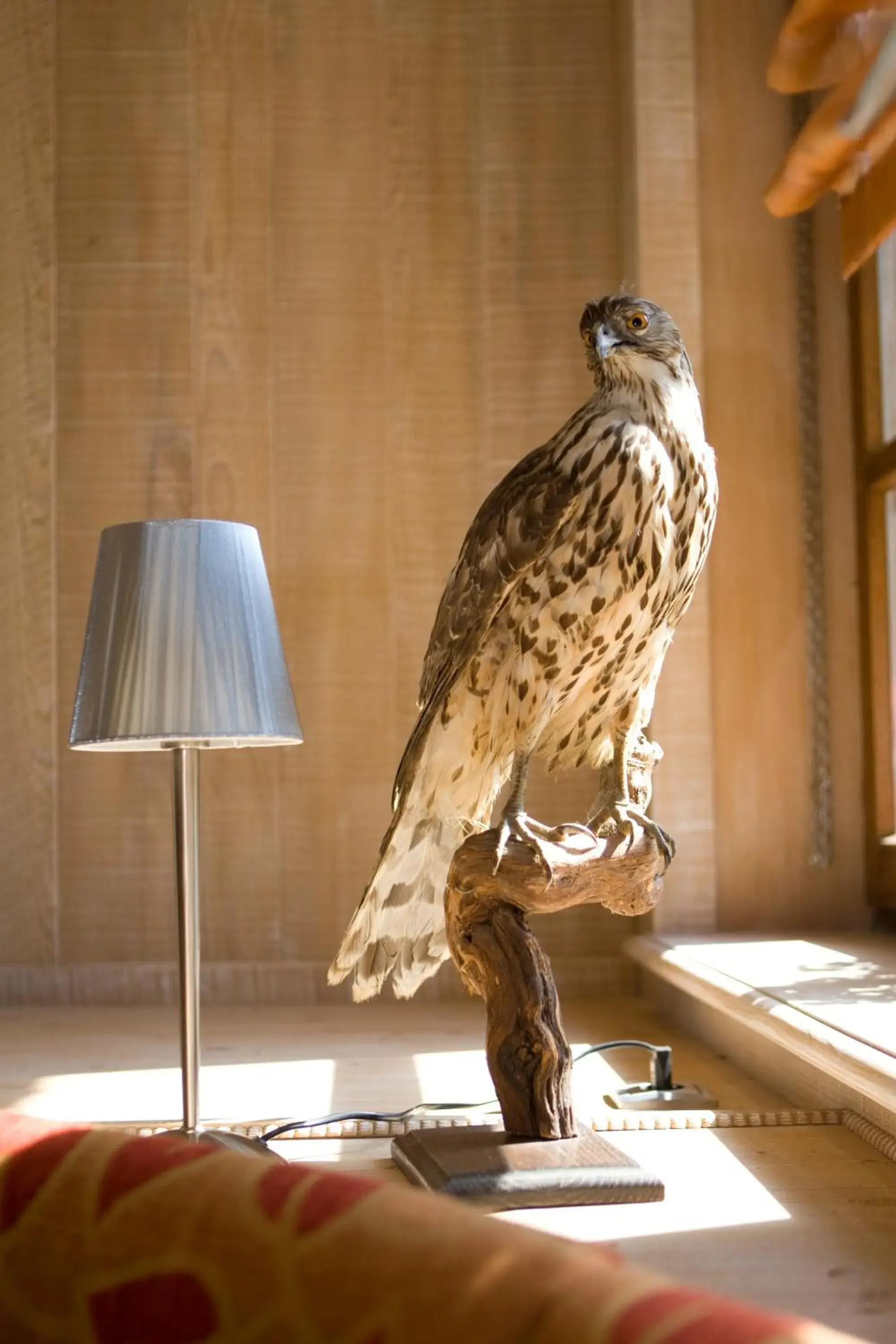 Lobby or reception in Logis Hôtel-Restaurant Auberge d'Imsthal Lobby or reception in Logis Hôtel-Restaurant Auberge d'Imsthal