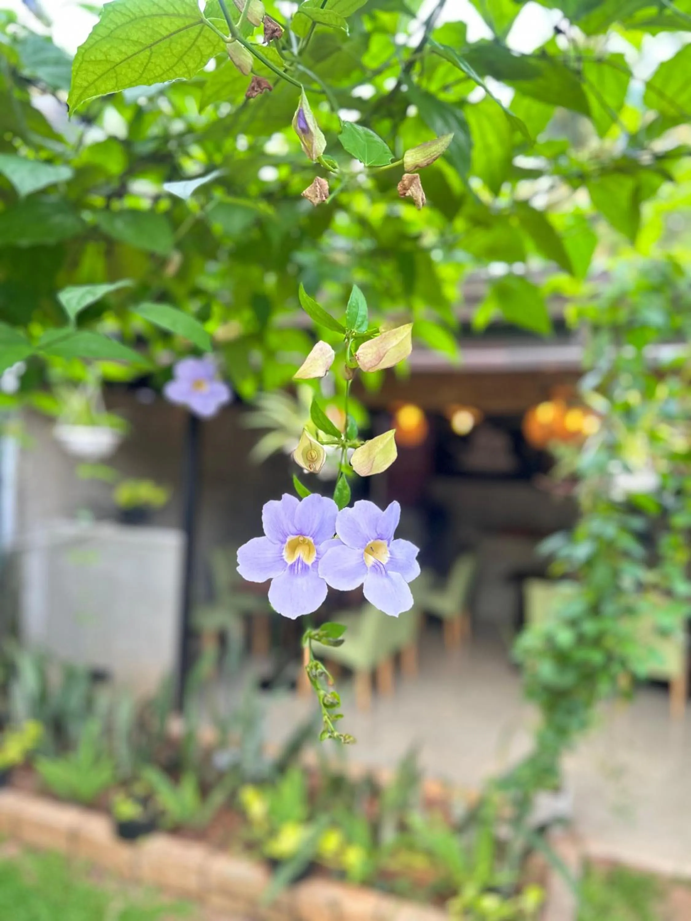 Goalma Family Holiday Resort & Restaurant