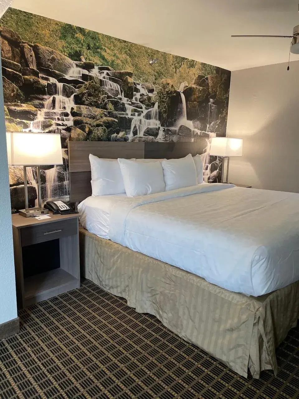 Bed in Clarion Pointe South Boston - Danville East Bed in Clarion Pointe South Boston - Danville East