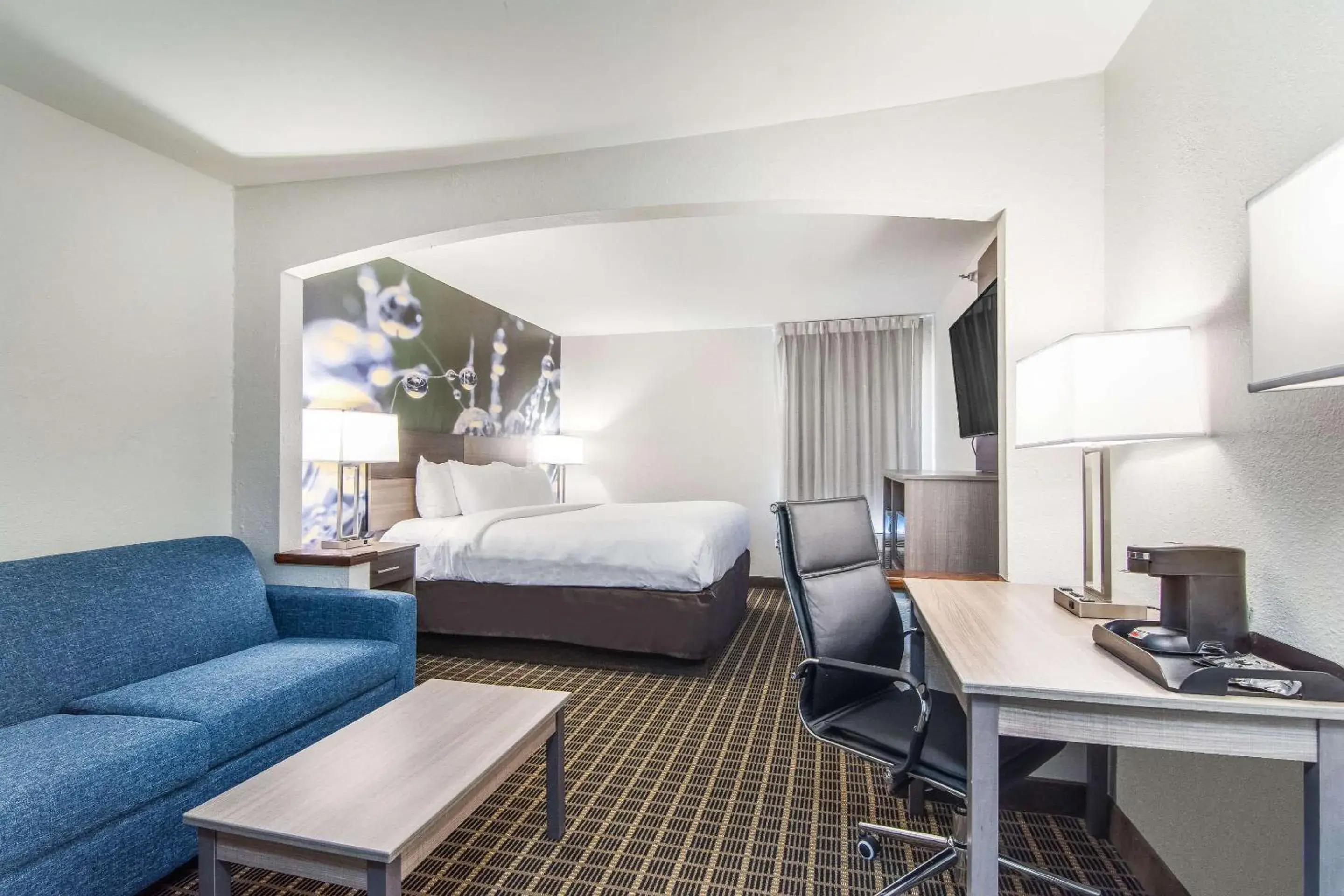 Photo of the whole room, Bed in Clarion Pointe South Boston - Danville East Photo of the whole room, Bed in Clarion Pointe South Boston - Danville East