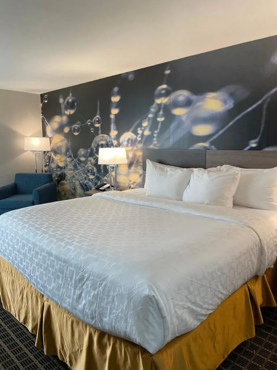 Bed in Clarion Pointe South Boston - Danville East Bed in Clarion Pointe South Boston - Danville East