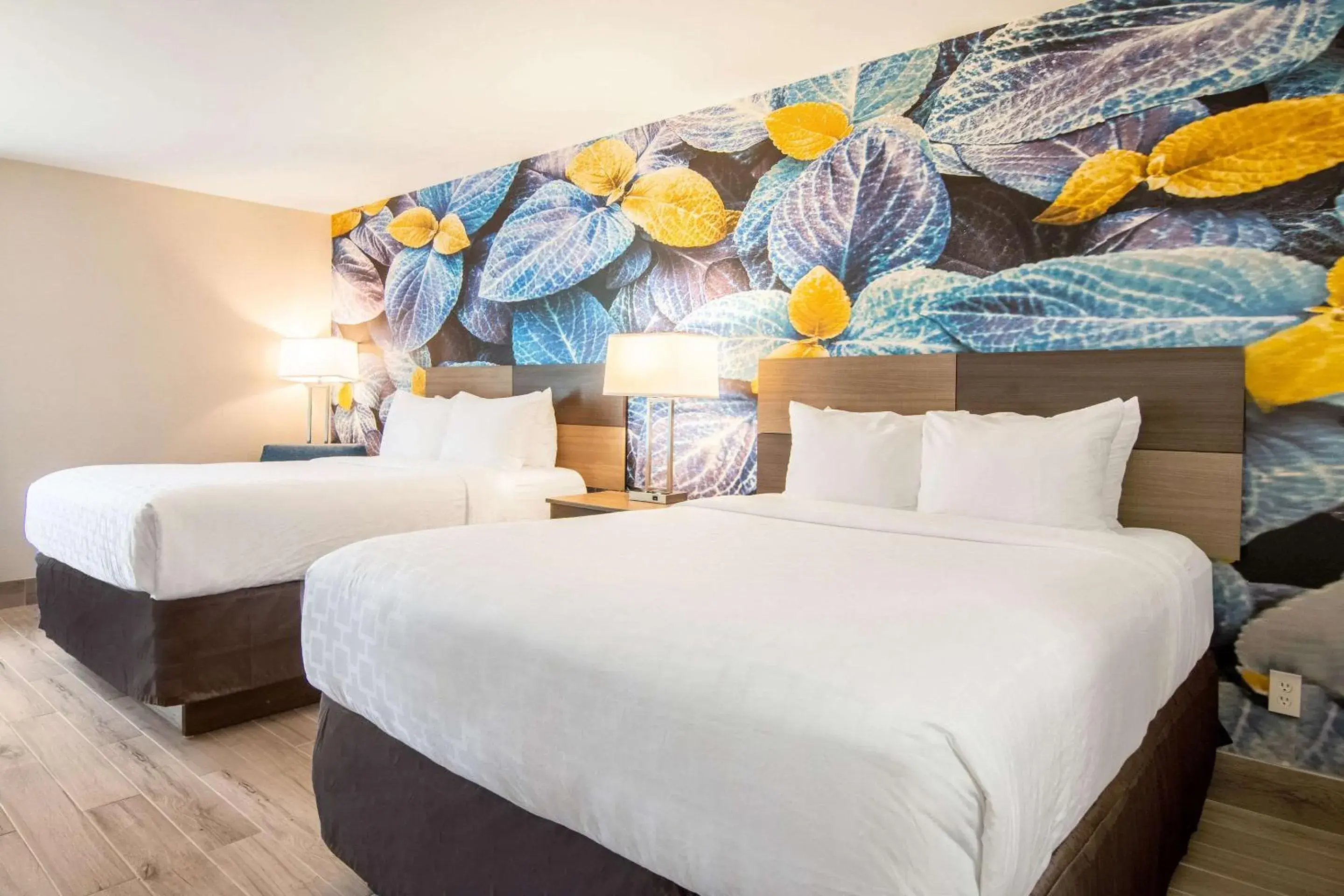 Photo of the whole room, Bed in Clarion Pointe South Boston - Danville East Photo of the whole room, Bed in Clarion Pointe South Boston - Danville East