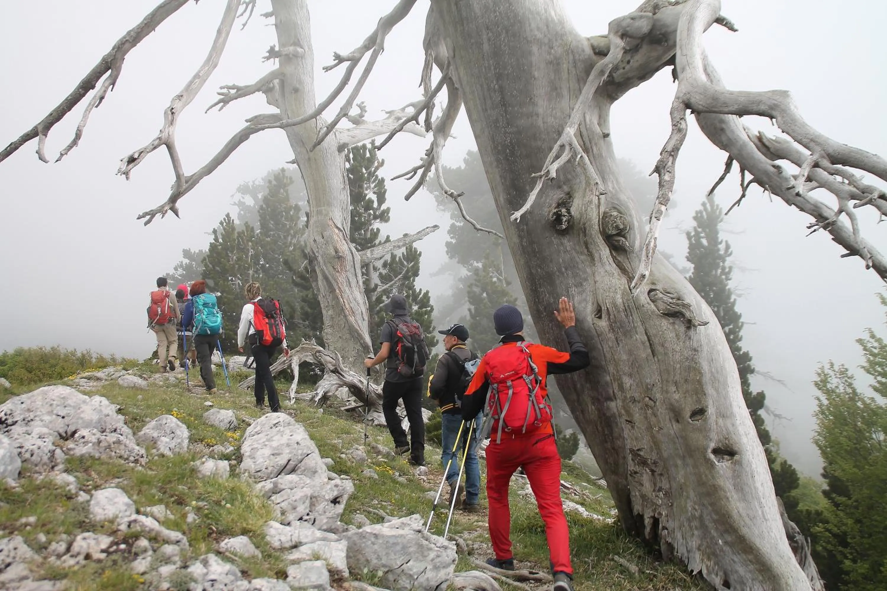 Hiking in Il Borgo Ospitale - Albergo Diffuso