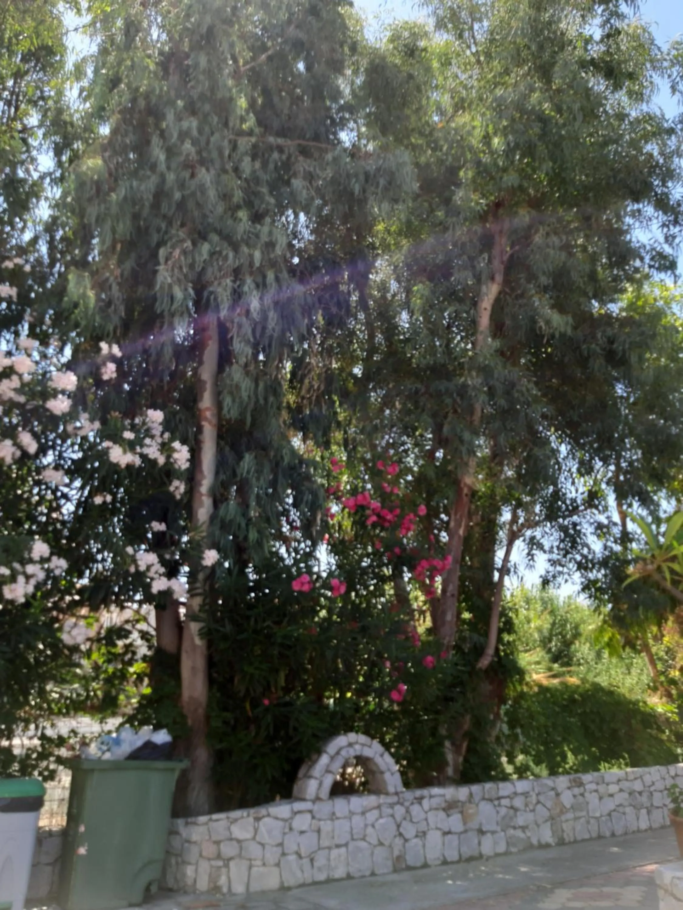 Garden in Eden Beach Hotel