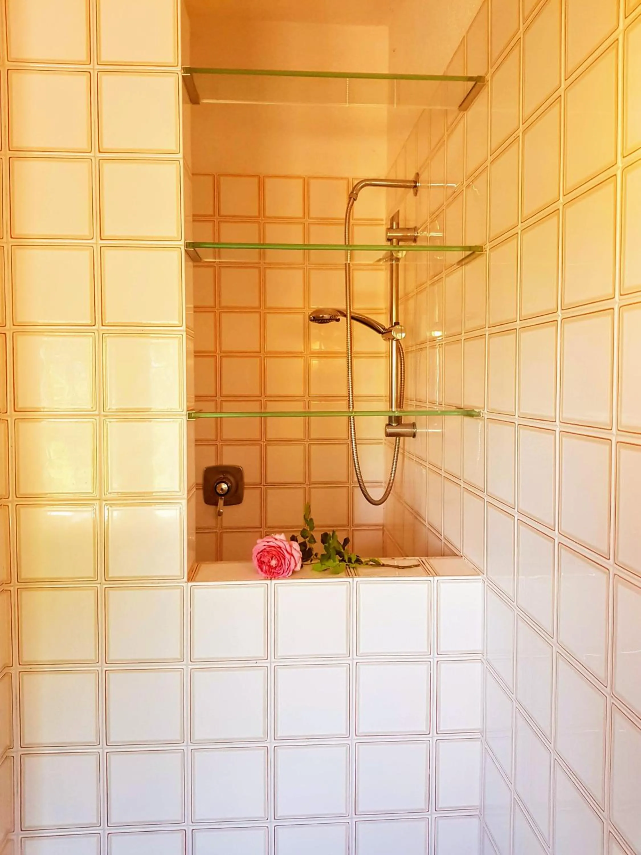 Shower in Villa Bella Piemonte