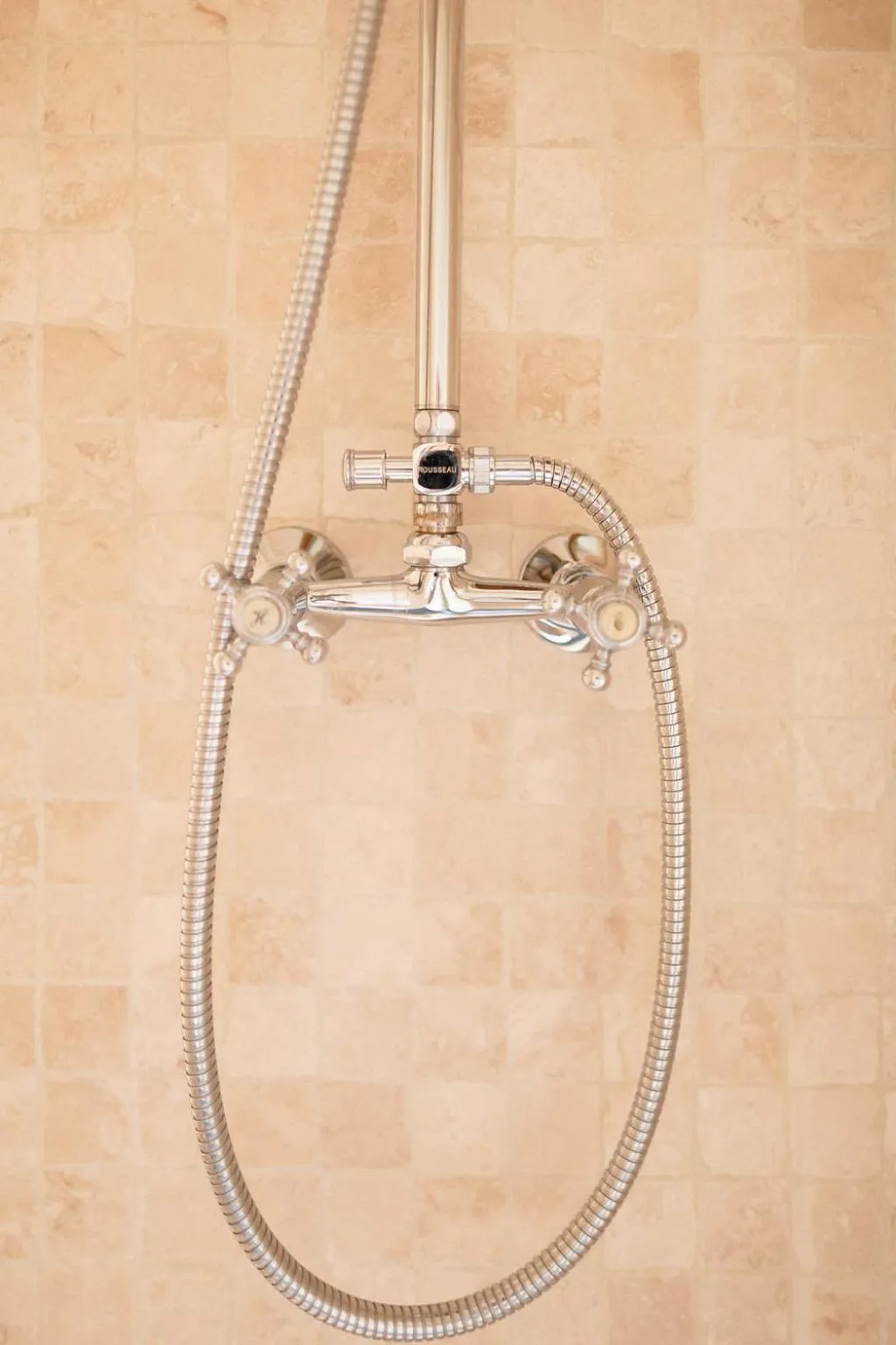 Other in Provence Dodo