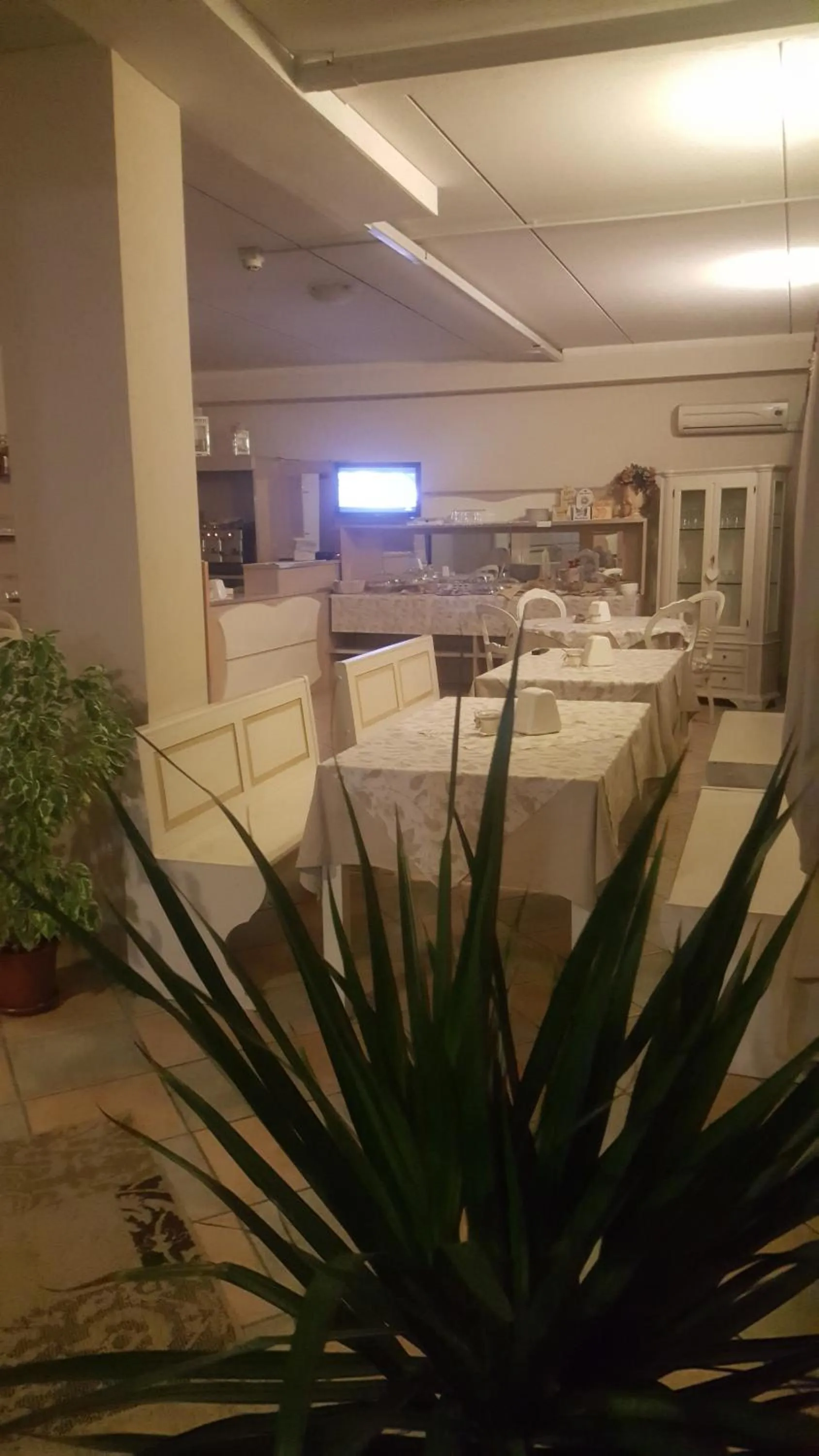 Food and drinks in Hotel Trotter