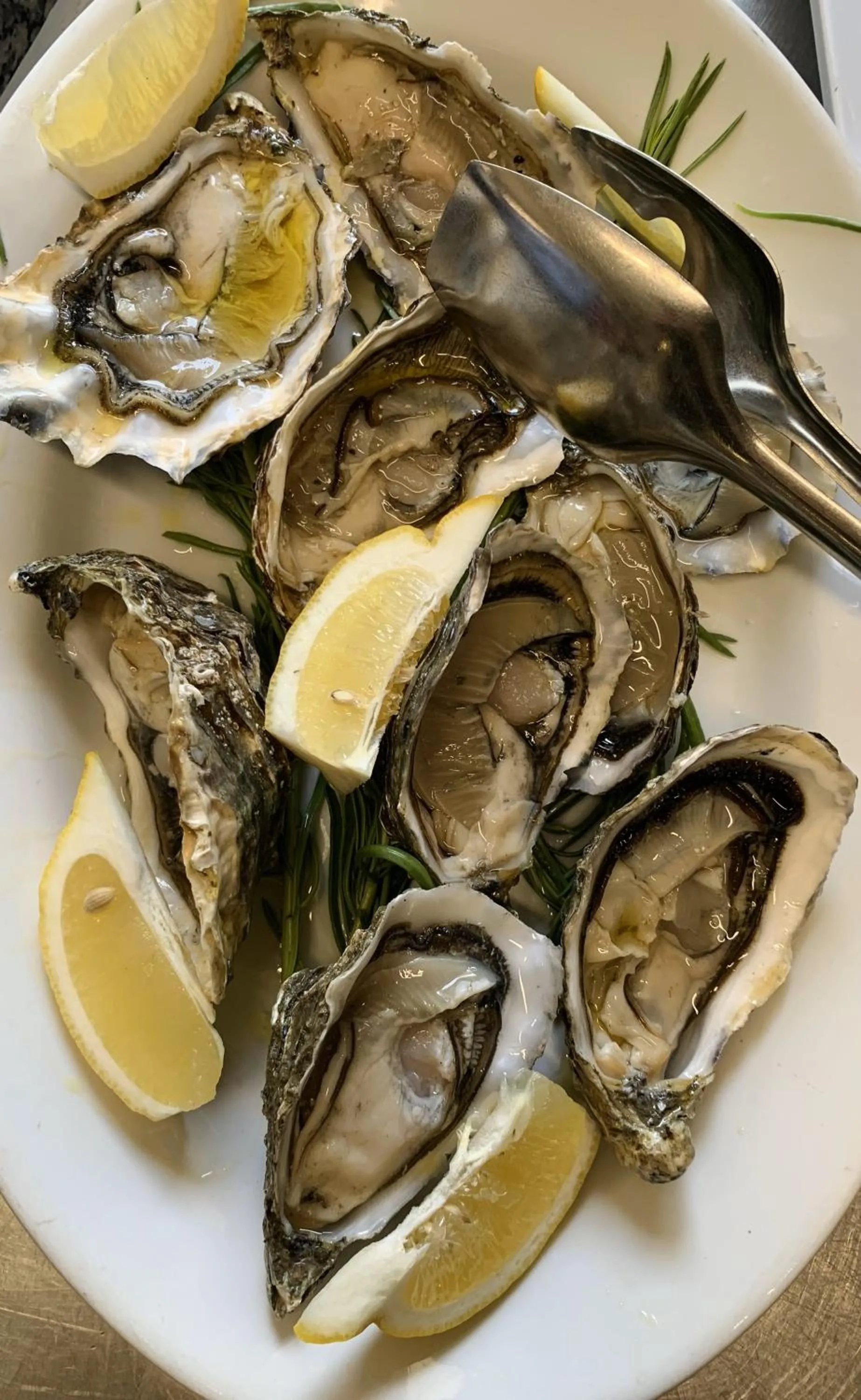 Restaurant/places to eat in HOTEL MERCURIO SUL MARE - Fish restaurant and private beach