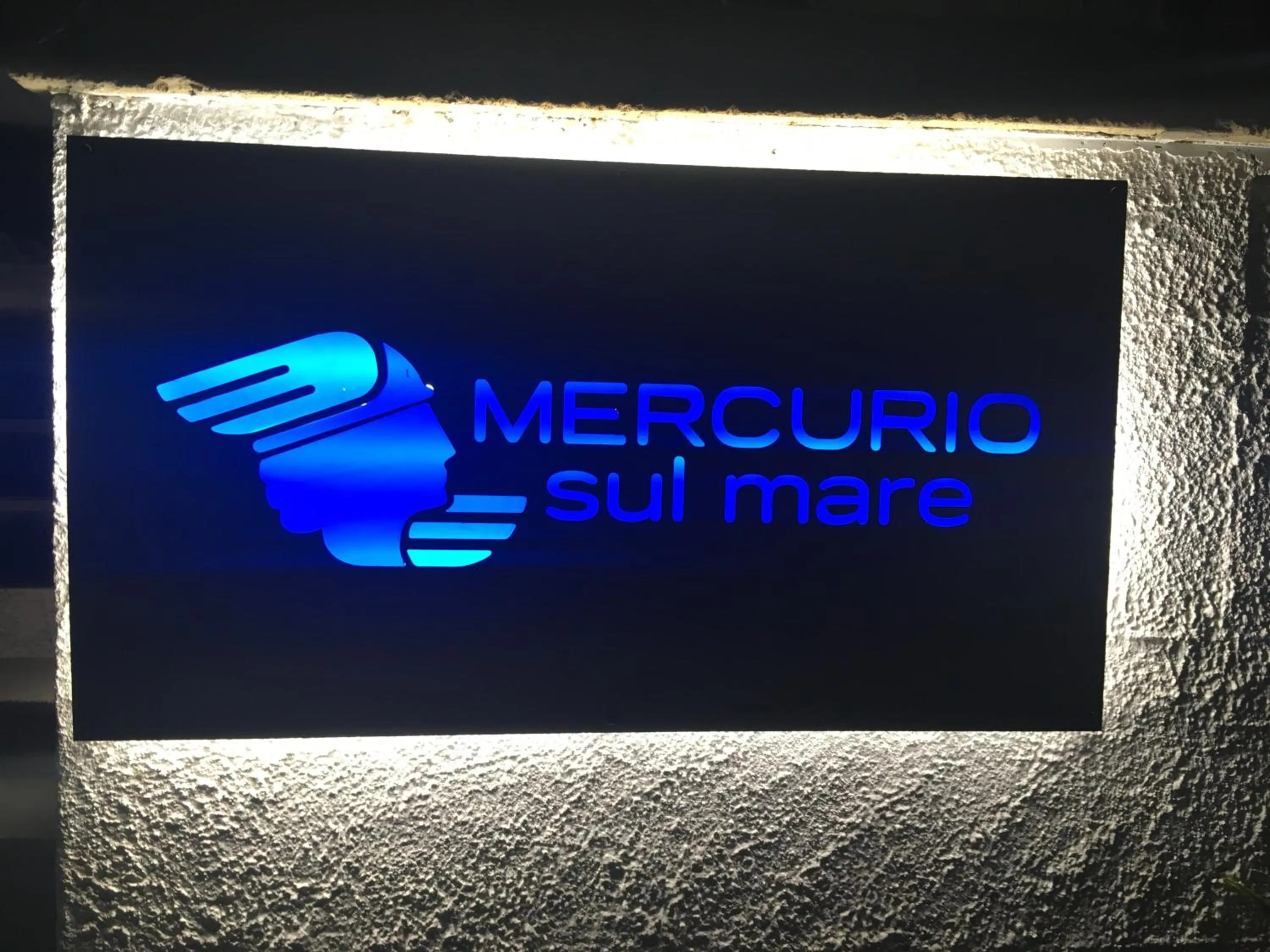Property logo or sign in HOTEL MERCURIO SUL MARE - Fish restaurant and private beach