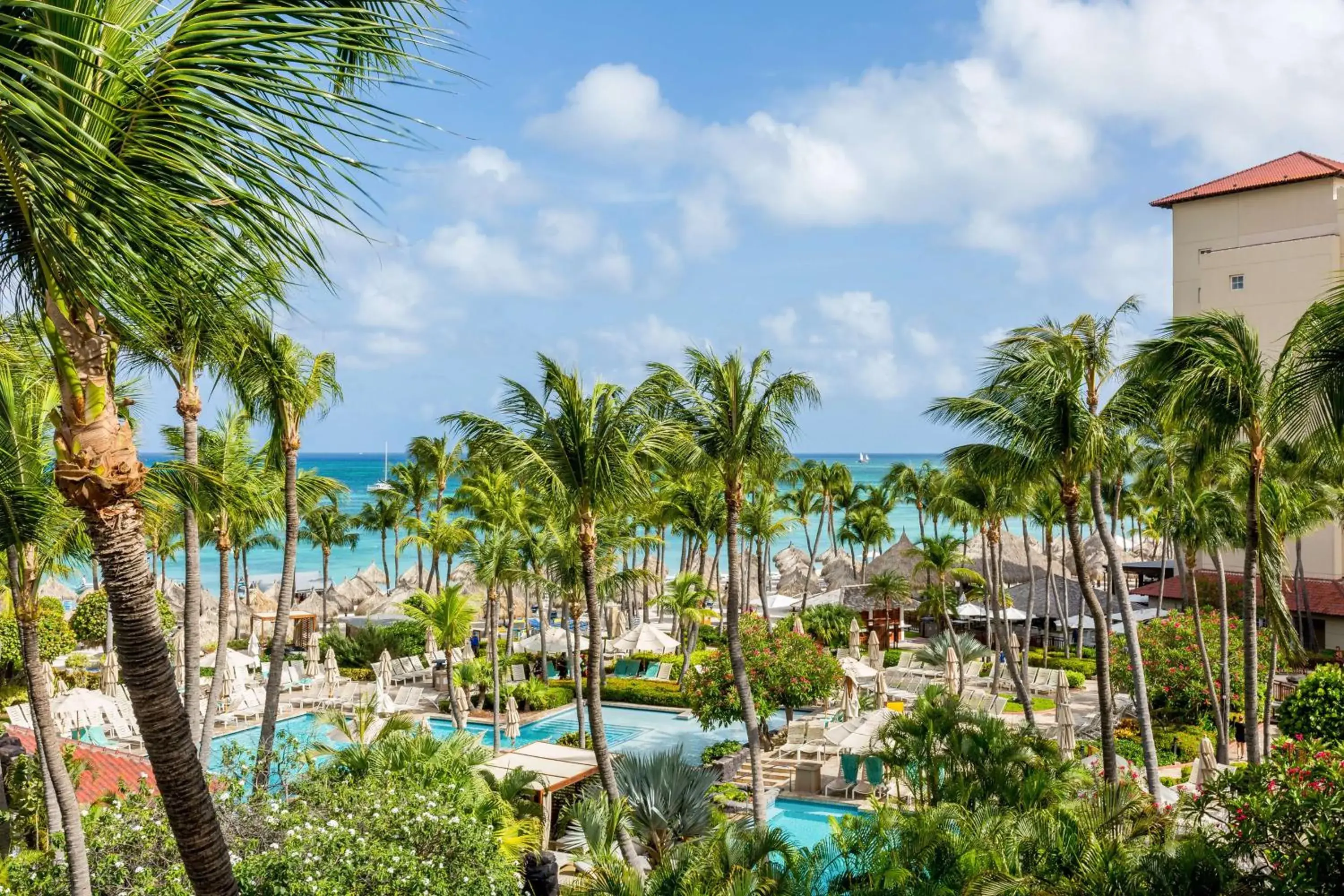 View (from property/room) in Hyatt Regency Aruba Resort & Casino View (from property/room) in Hyatt Regency Aruba Resort & Casino