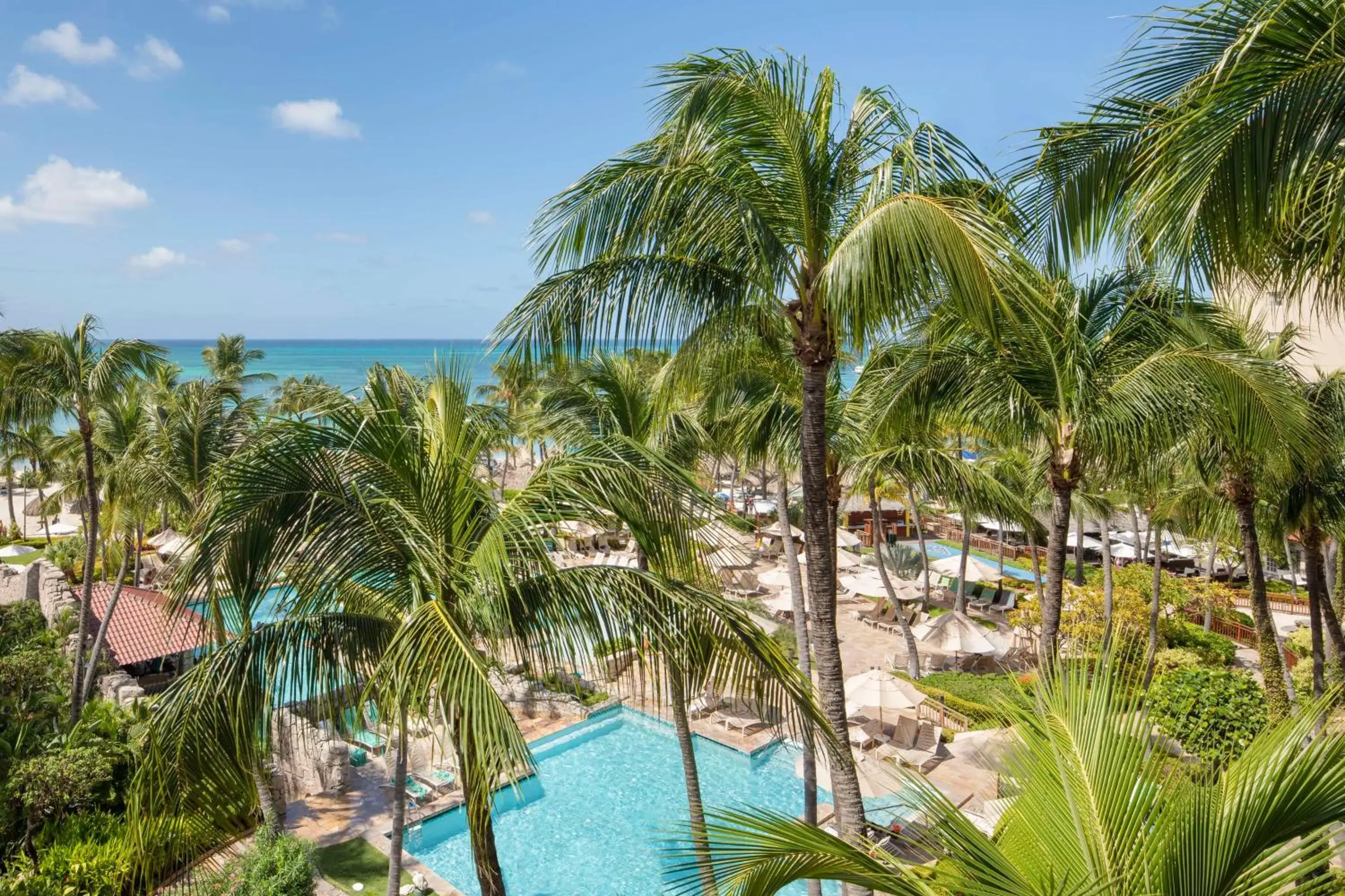 View (from property/room) in Hyatt Regency Aruba Resort & Casino View (from property/room) in Hyatt Regency Aruba Resort & Casino