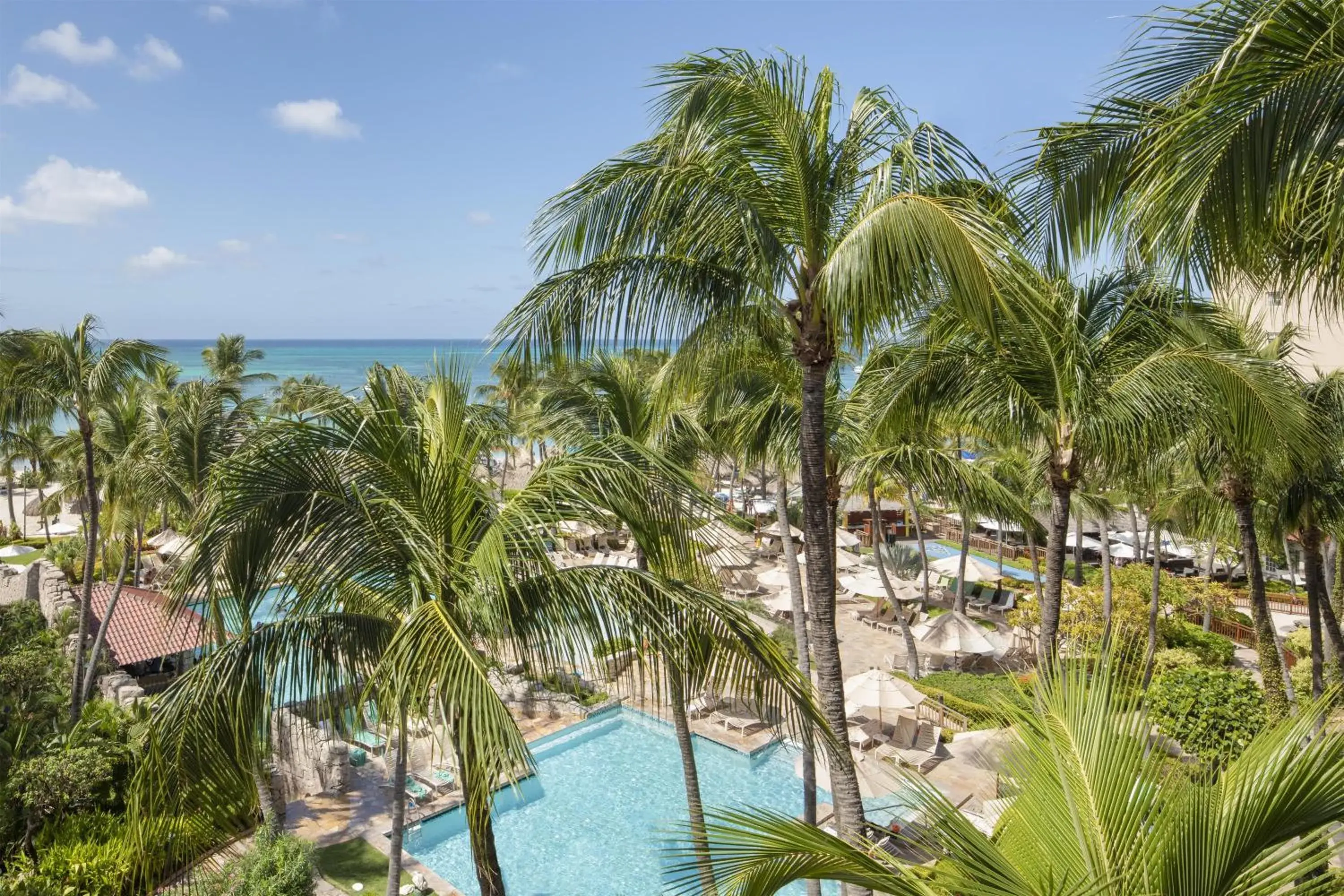 View (from property/room) in Hyatt Regency Aruba Resort & Casino View (from property/room) in Hyatt Regency Aruba Resort & Casino