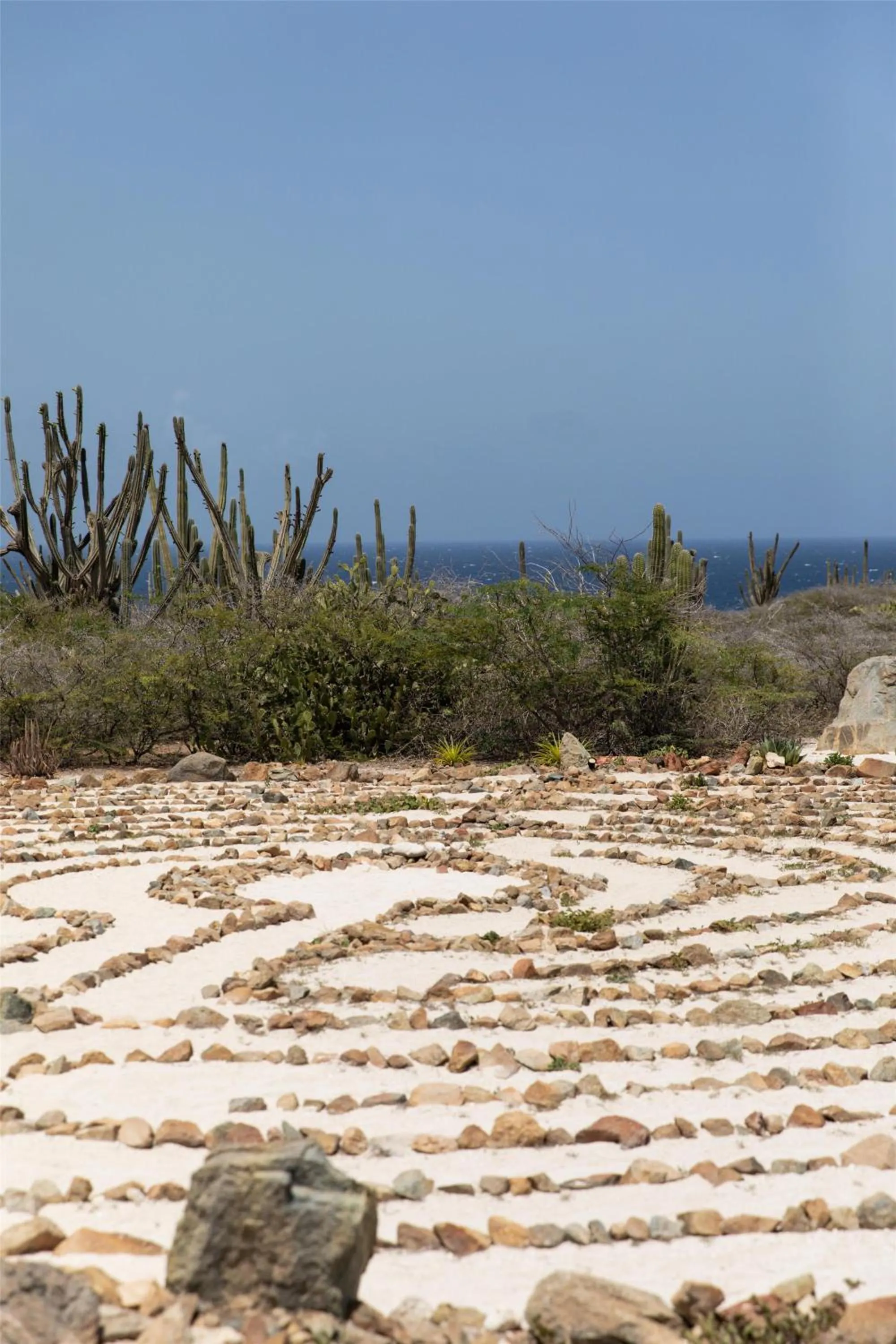 Location in Hyatt Regency Aruba Resort & Casino