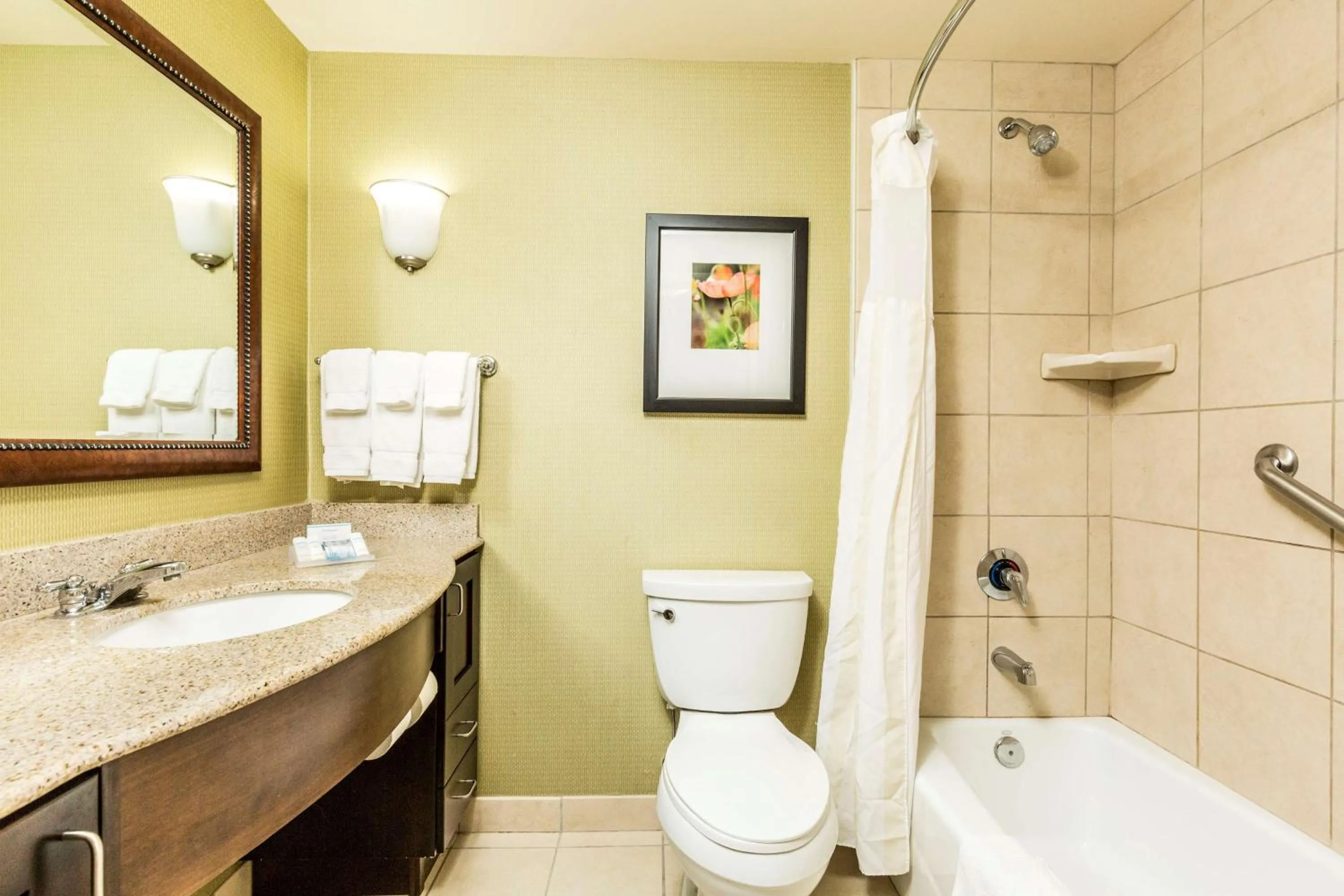 Bathroom in Hilton Garden Inn St. George