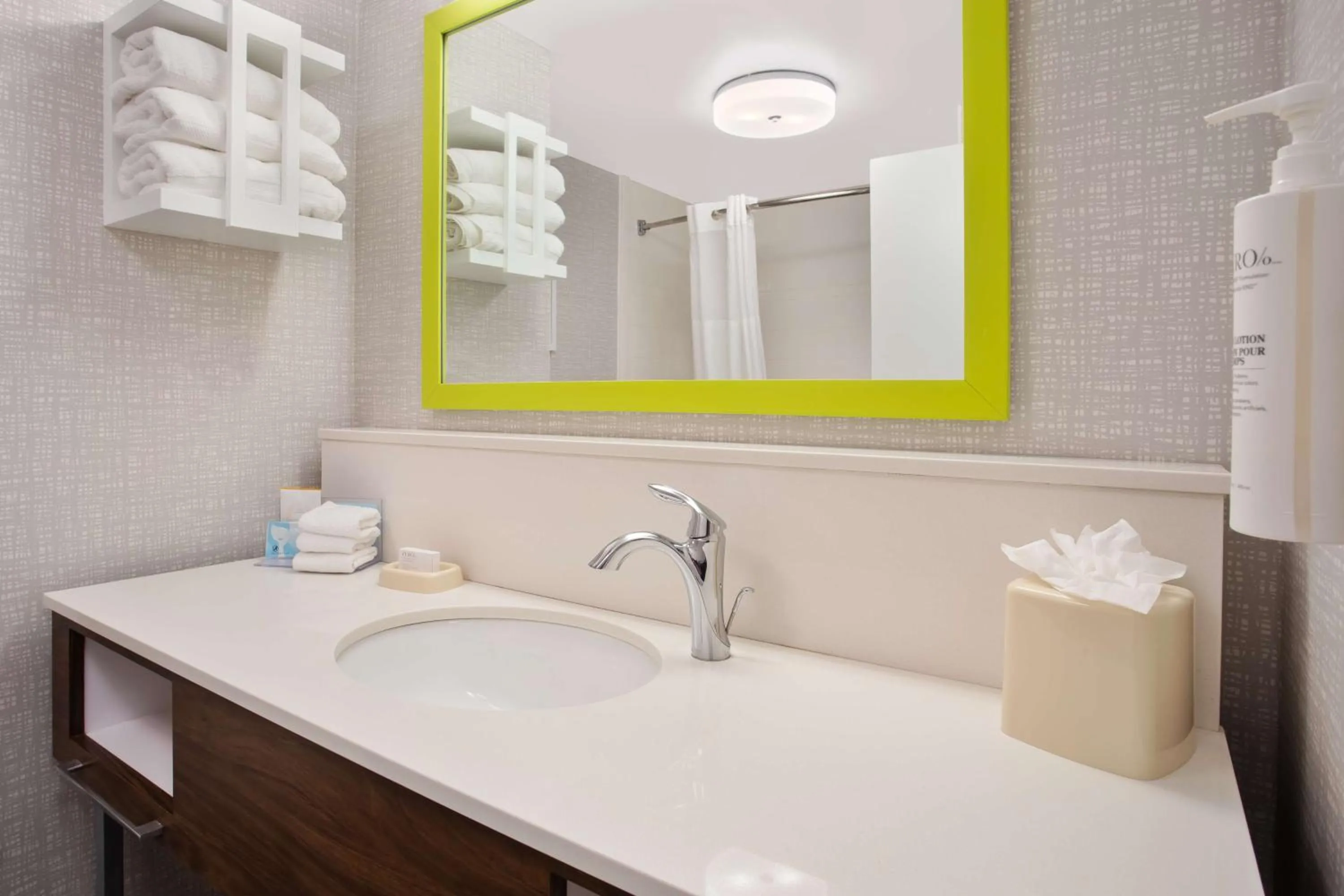 Bathroom in Hampton Inn & Suites Tampa East Casino Area