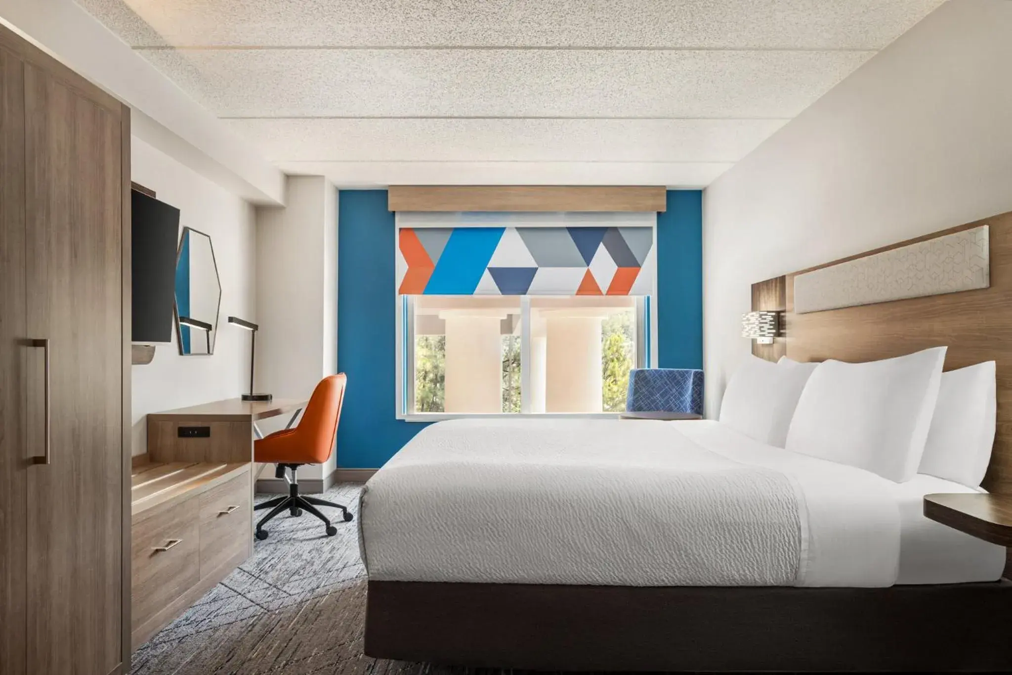 King Suite - Disability Access in Holiday Inn Express Birmingham Irondale East by IHG King Suite - Disability Access in Holiday Inn Express Birmingham Irondale East by IHG