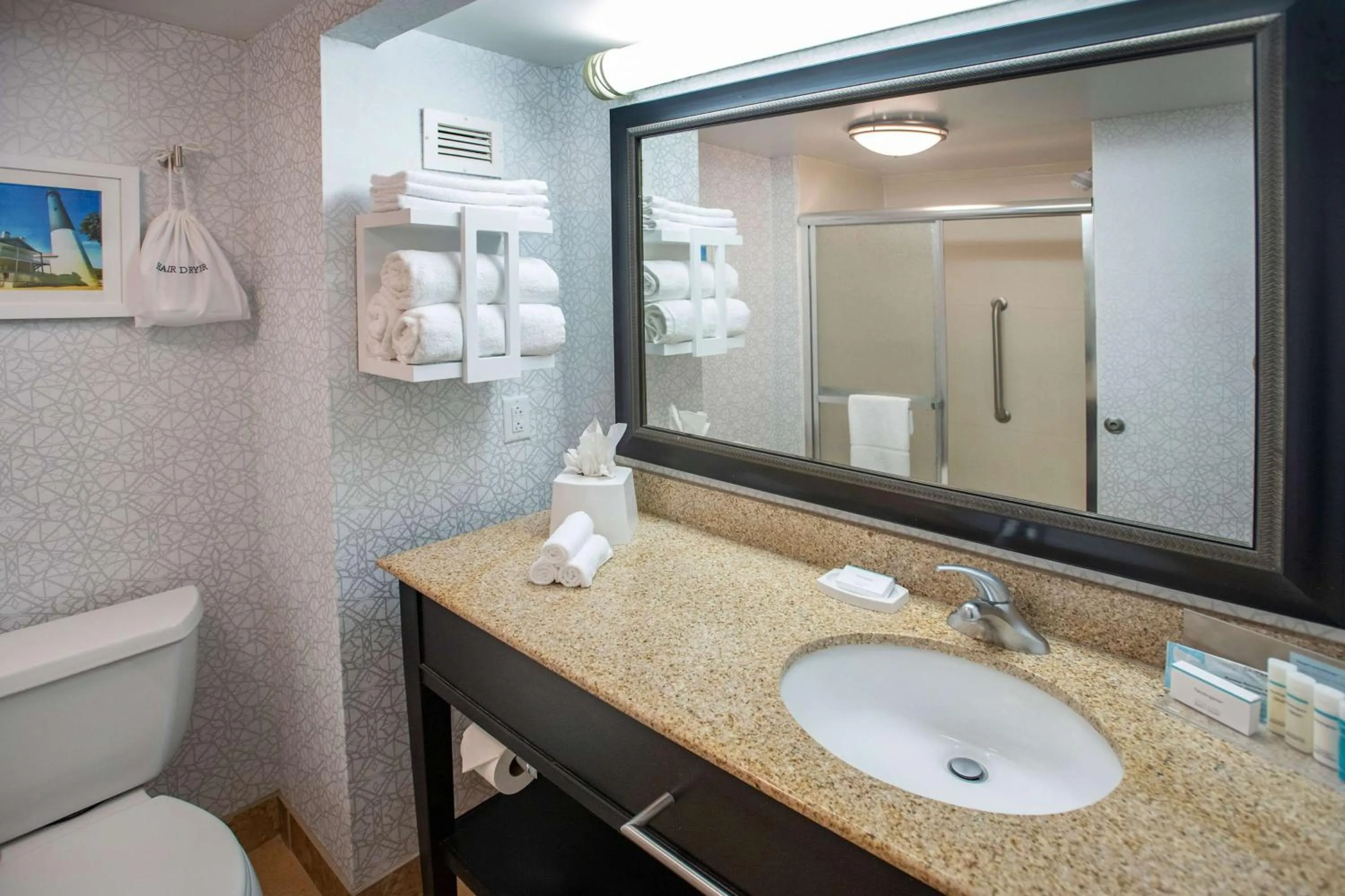 Bathroom in Hampton Inn Pensacola-Airport