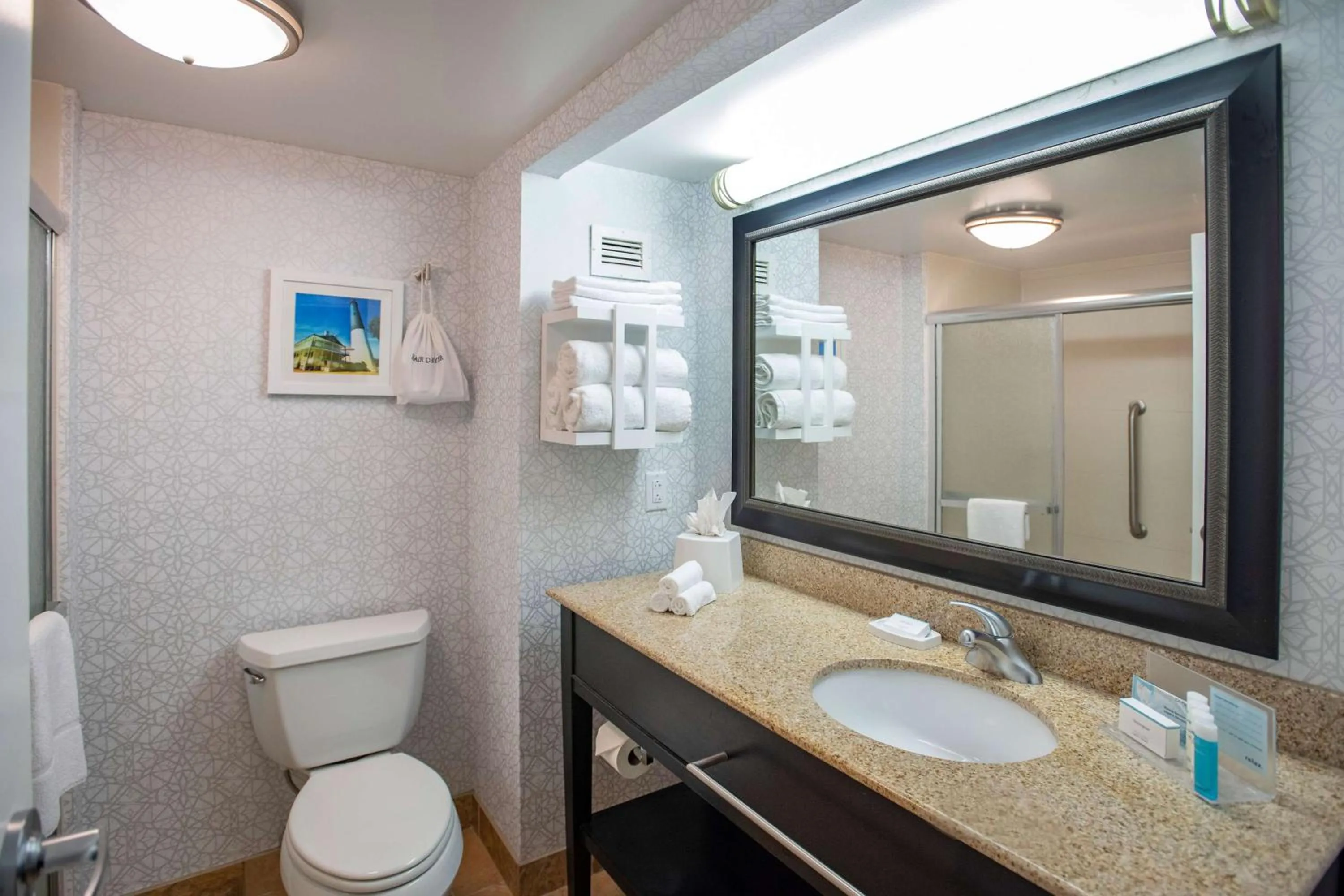 Bathroom in Hampton Inn Pensacola-Airport