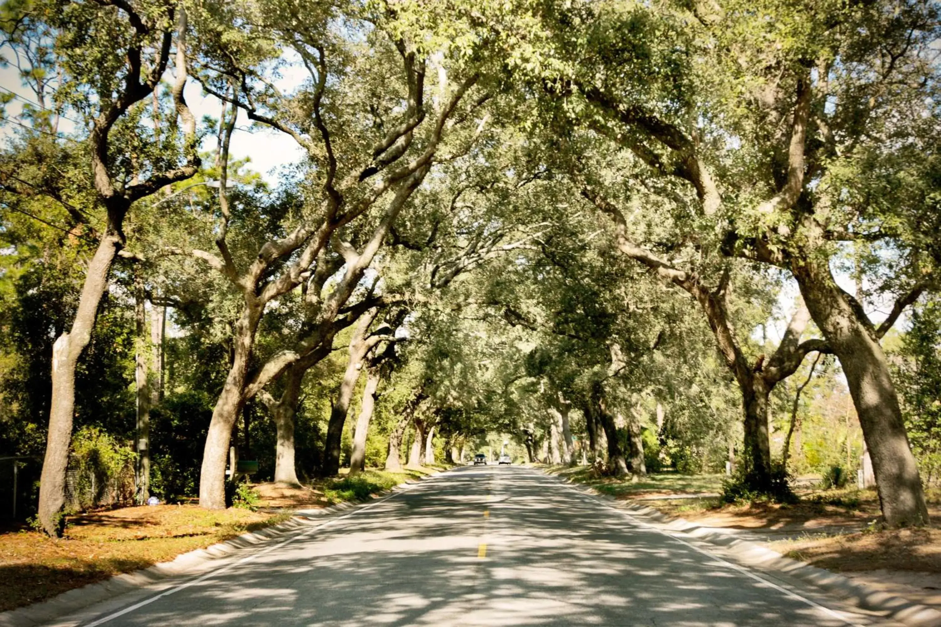 Property building in Hampton Inn Pensacola-Airport Property building in Hampton Inn Pensacola-Airport