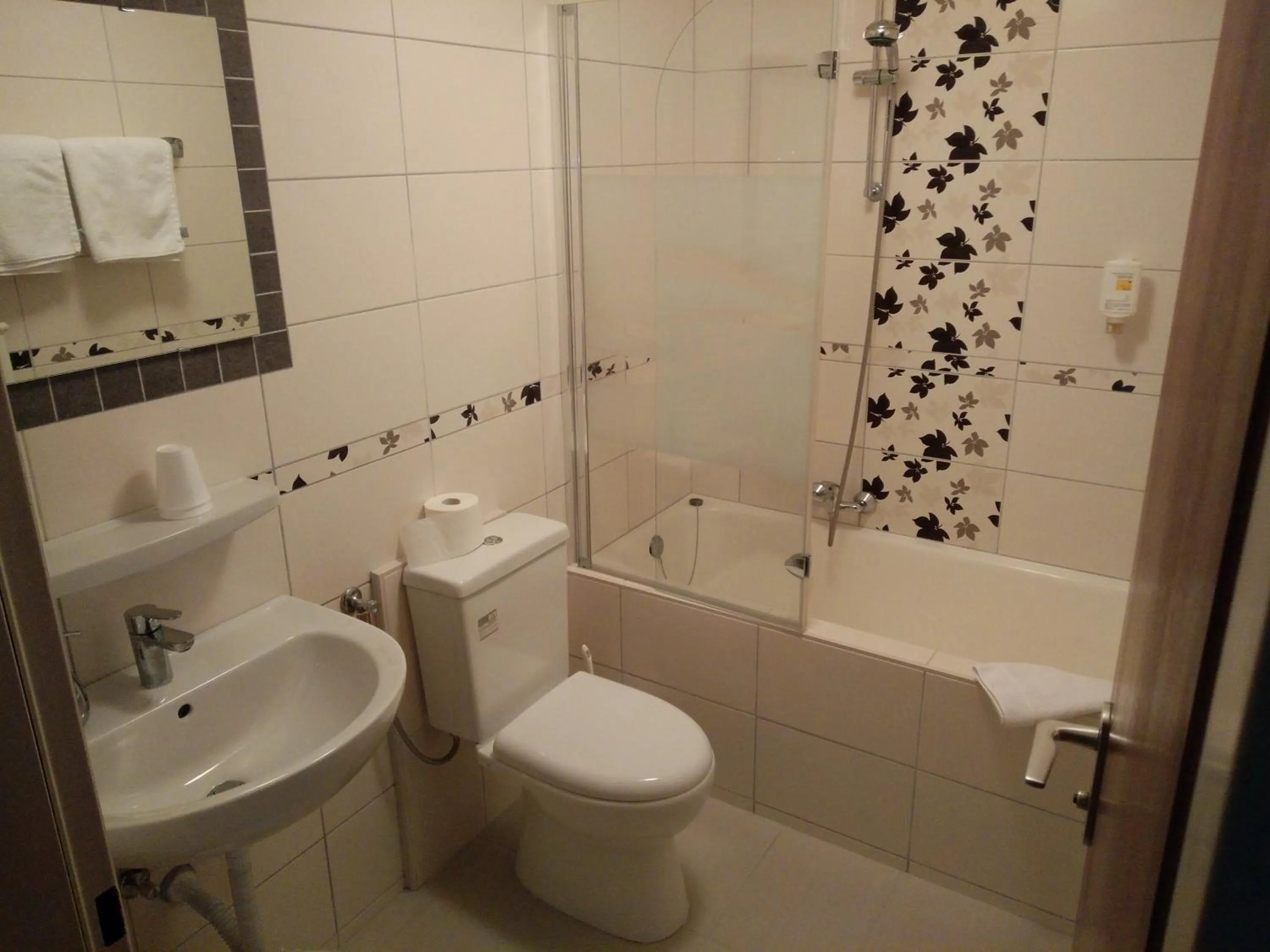 Bathroom in Hotel Alfa