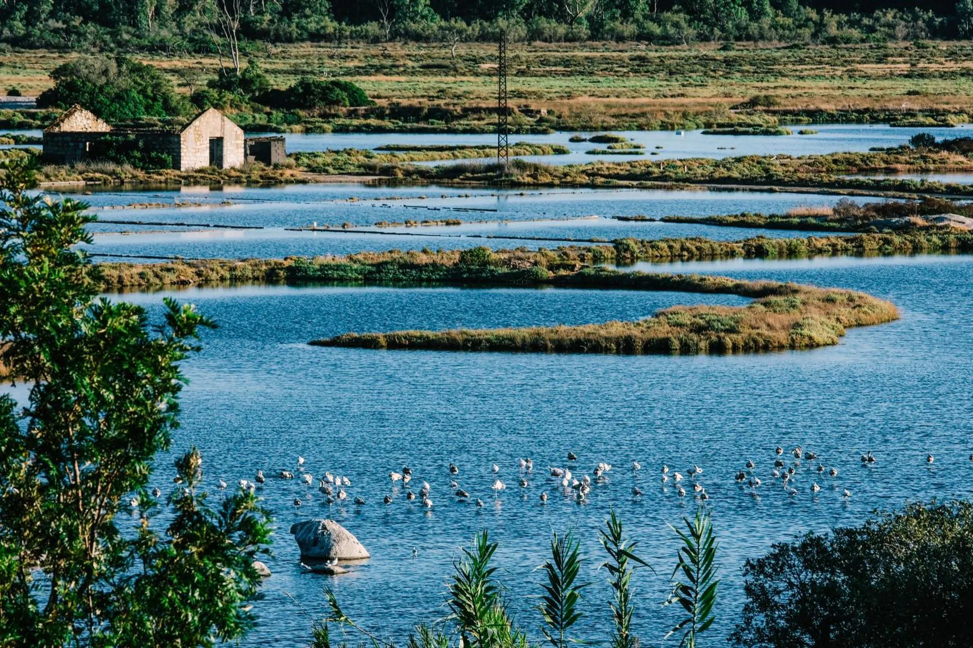 View (from property/room) in Hotel Costa Salina