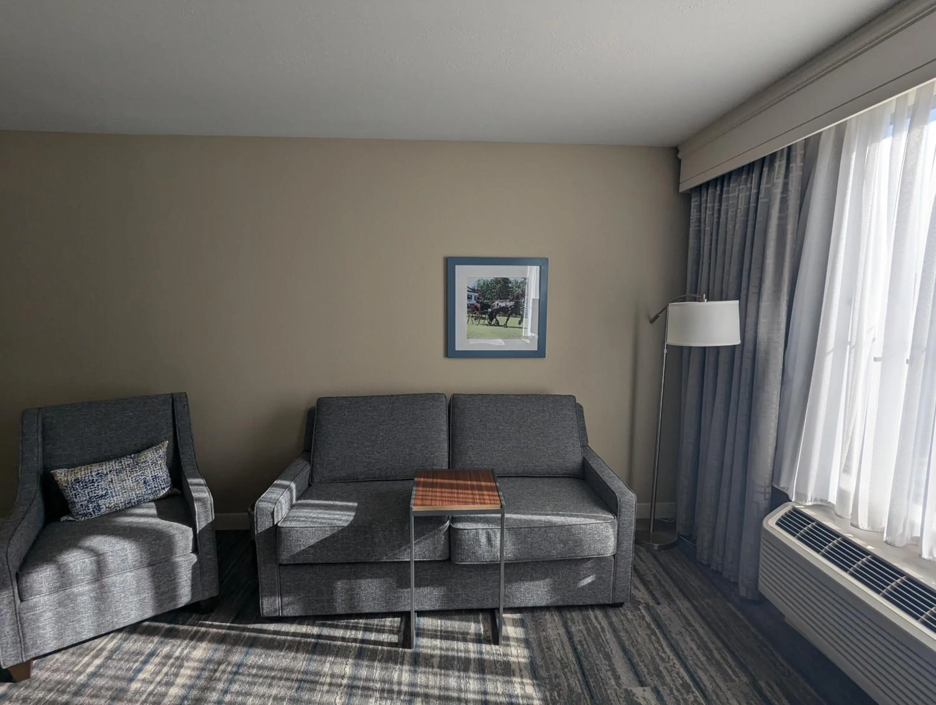 Living room in Hampton Inn & Suites Cazenovia, NY