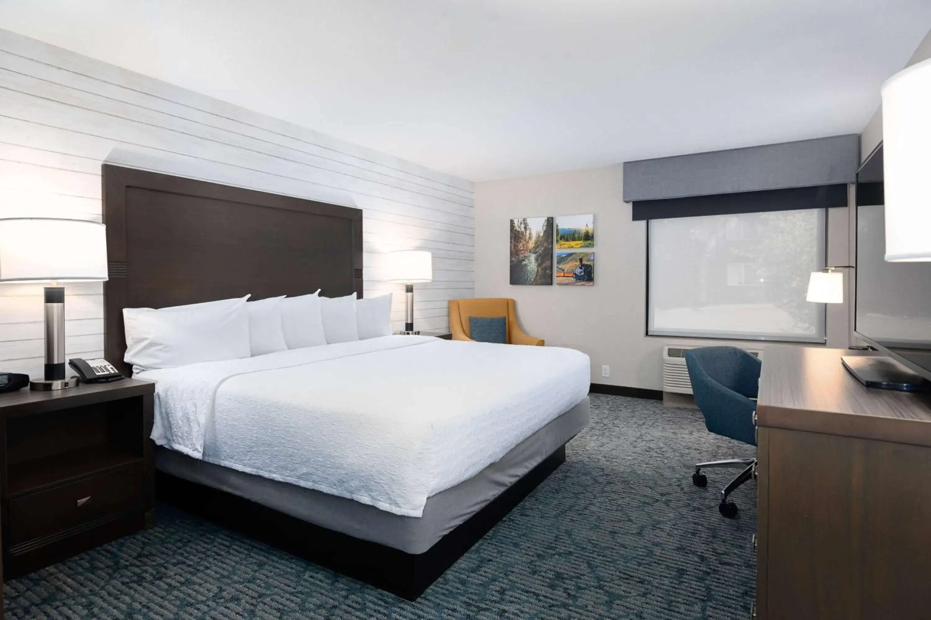King Room with King Bed - Non-Smoking in Hampton Inn Durango King Room with King Bed - Non-Smoking in Hampton Inn Durango