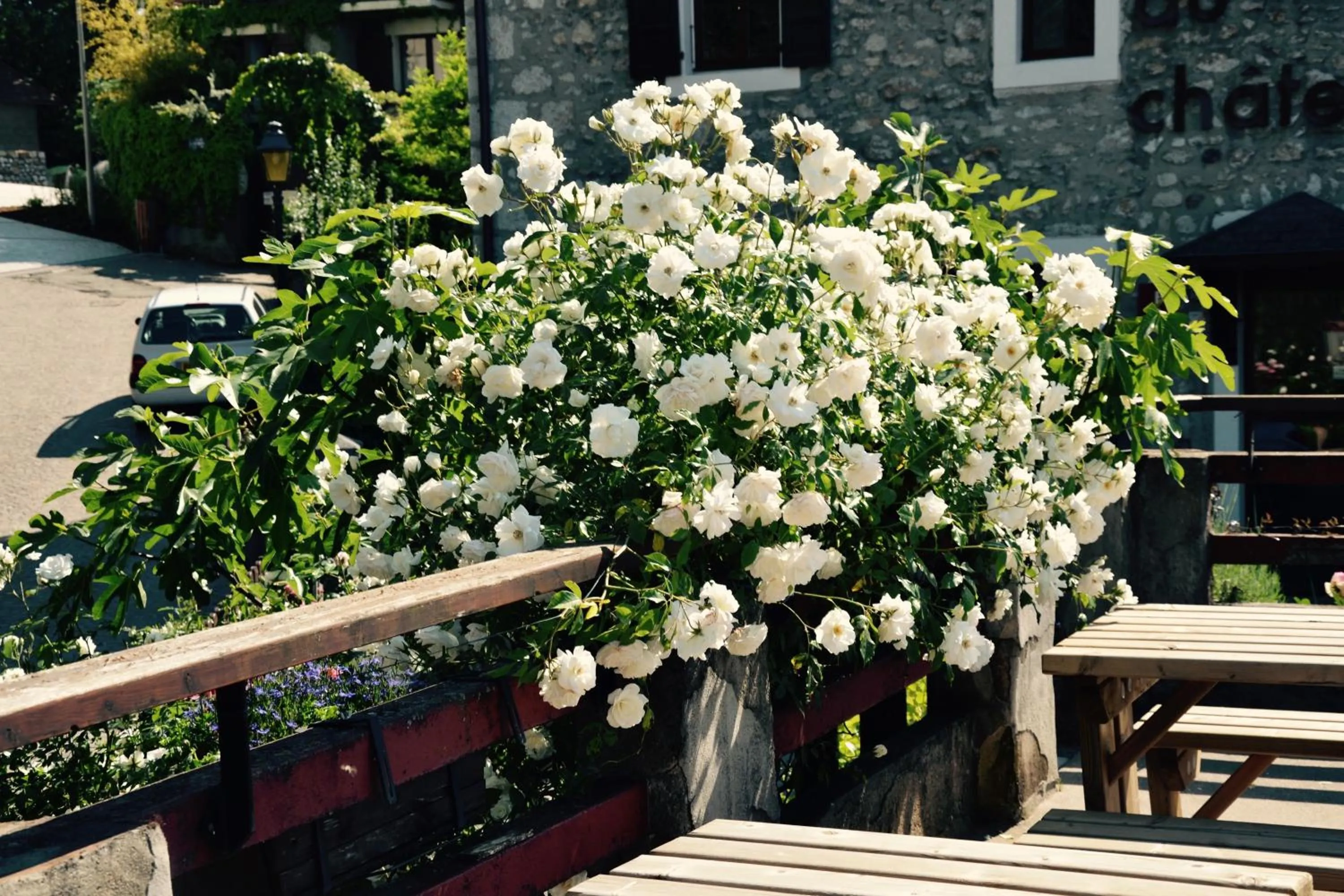 Balcony/Terrace in Hôtel du Château