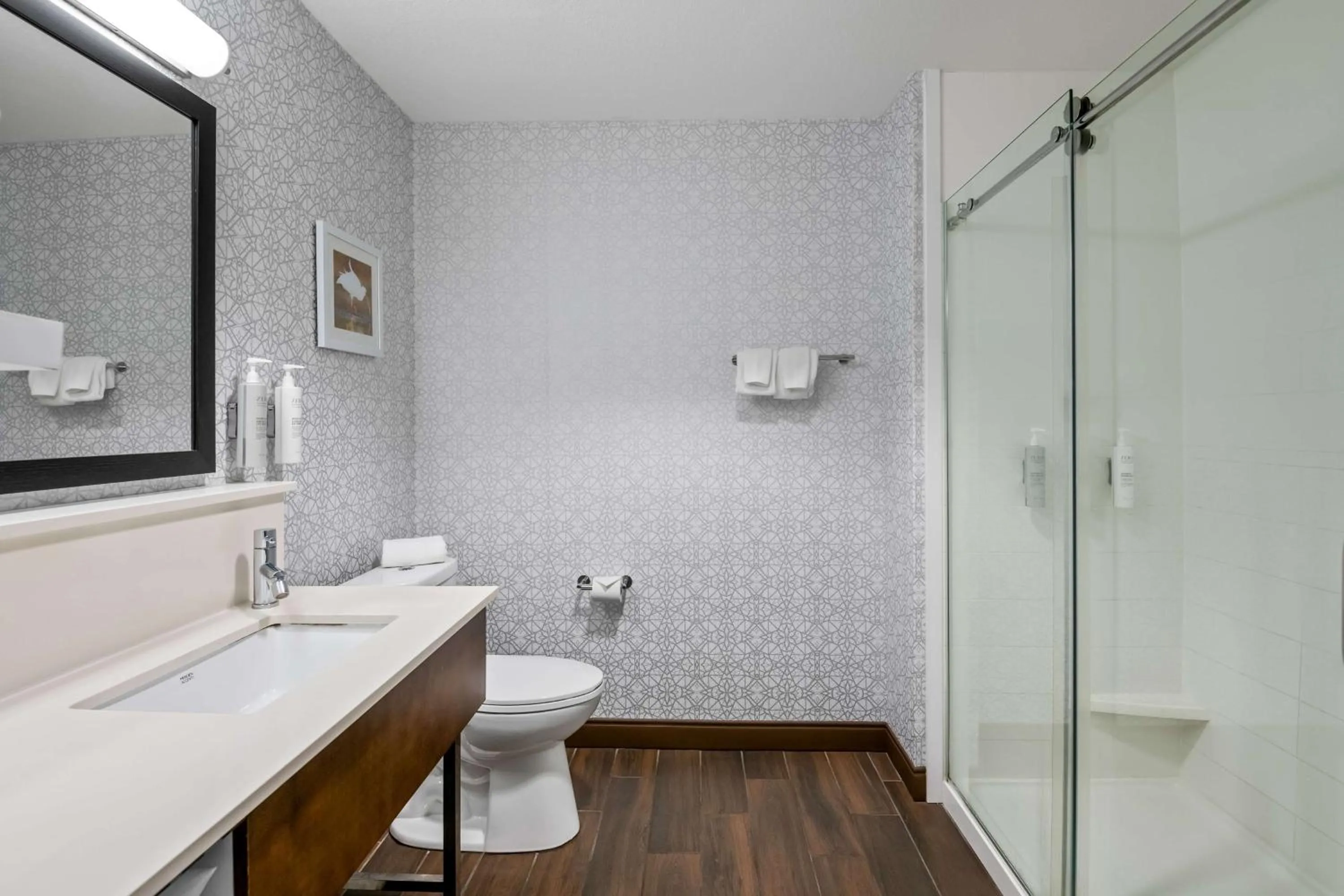 Bathroom in Hampton Inn Debary-Deltona