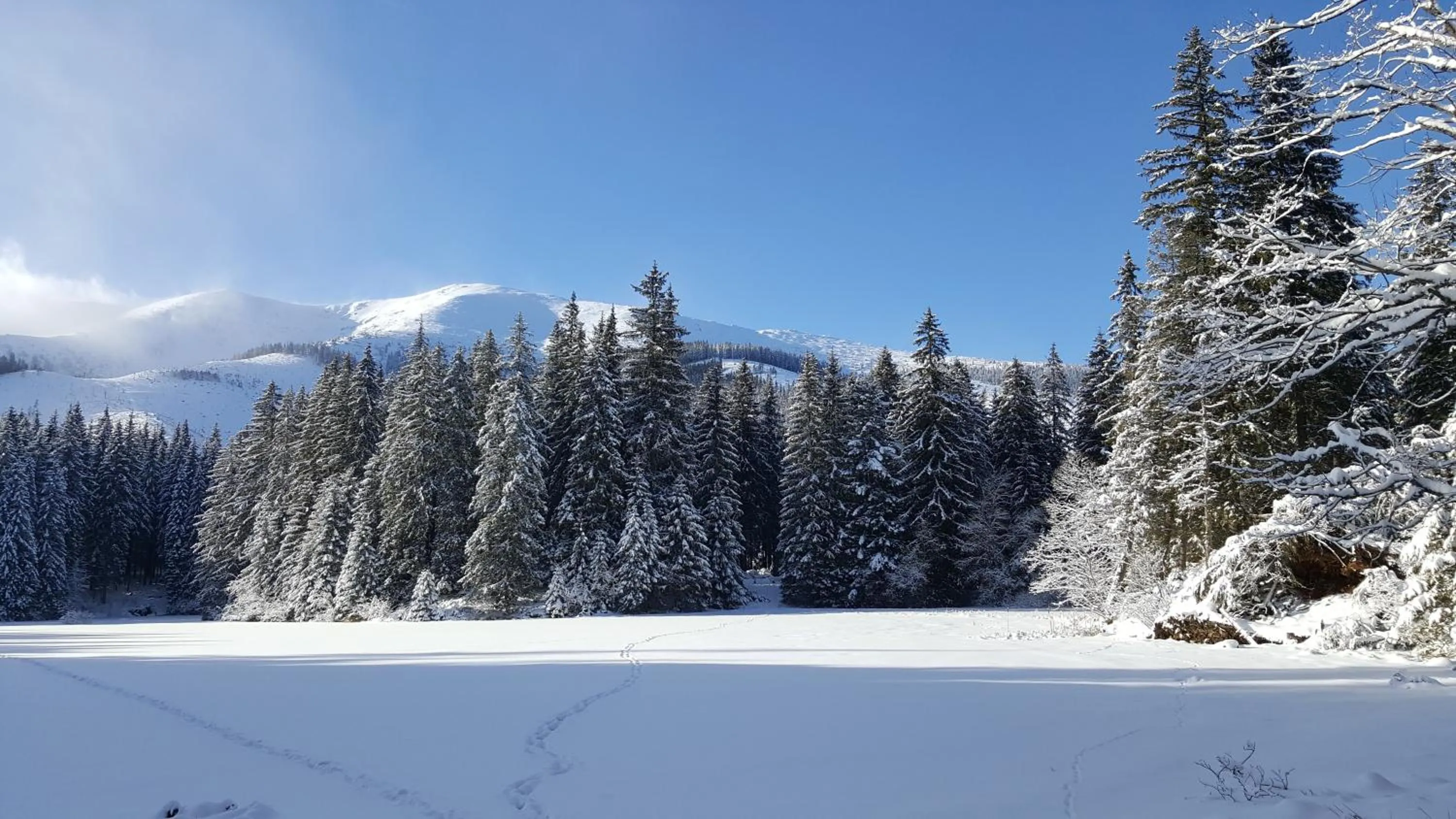 Chalety Jasná Apartmány Bor