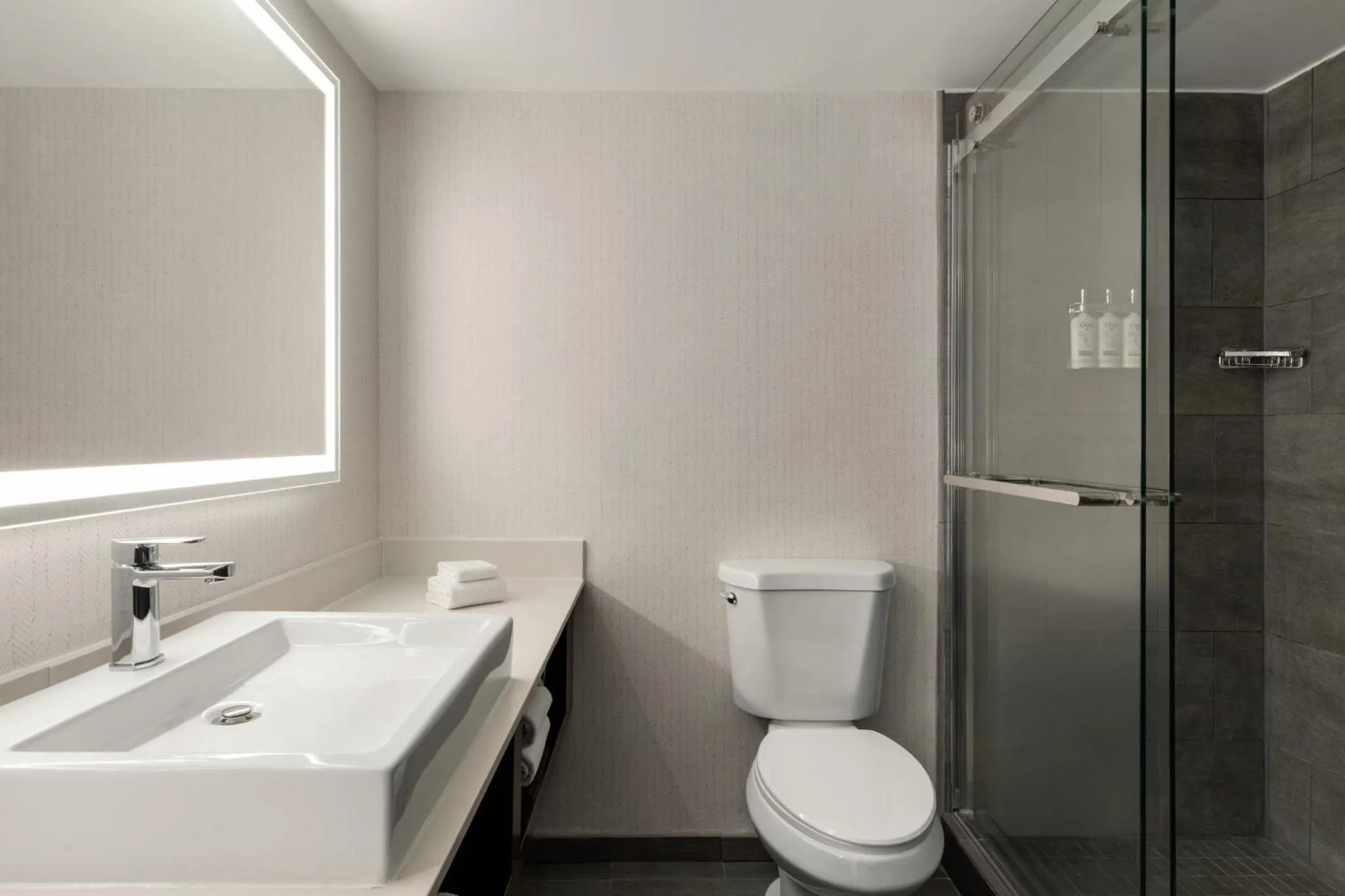 Bathroom in Holiday Inn Virginia Beach - Norfolk by IHG