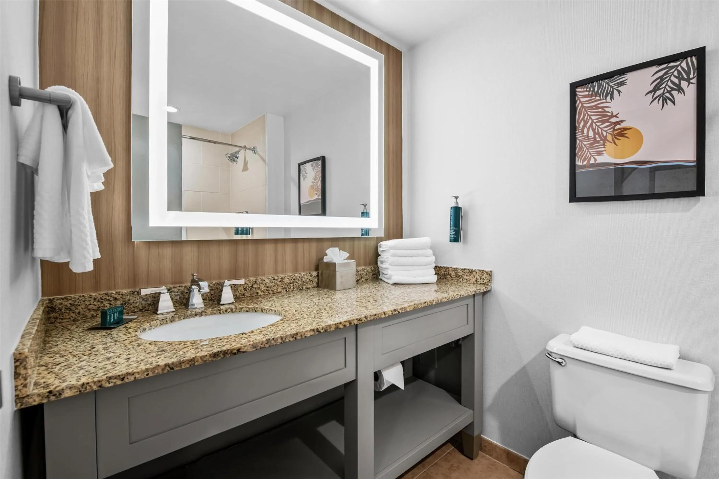Bathroom in DoubleTree Suites by Hilton Raleigh-Durham