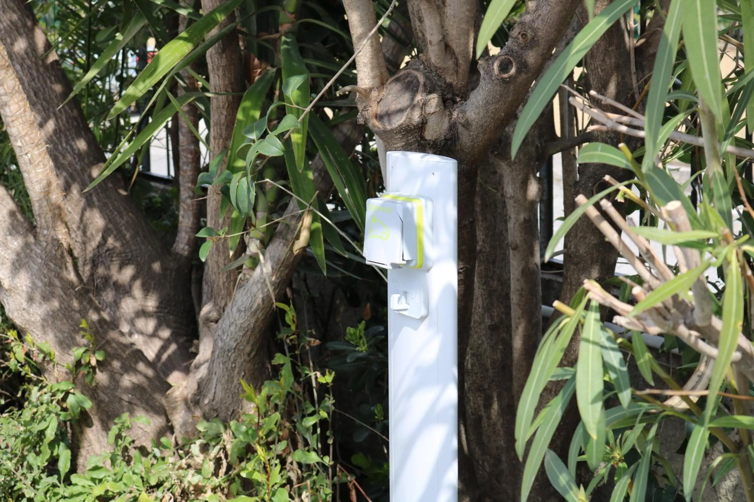 Area and facilities in Hôtel du Bord de Mer "Le Vanillé"