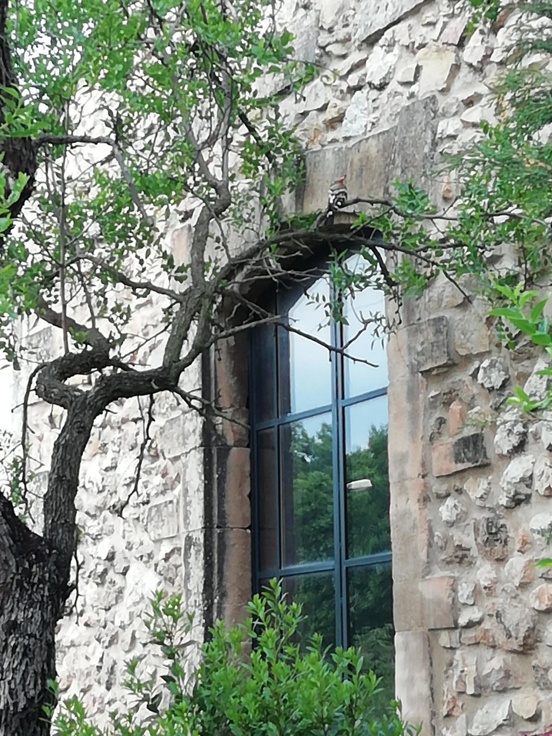 View (from property/room) in Mazet Des Artistes