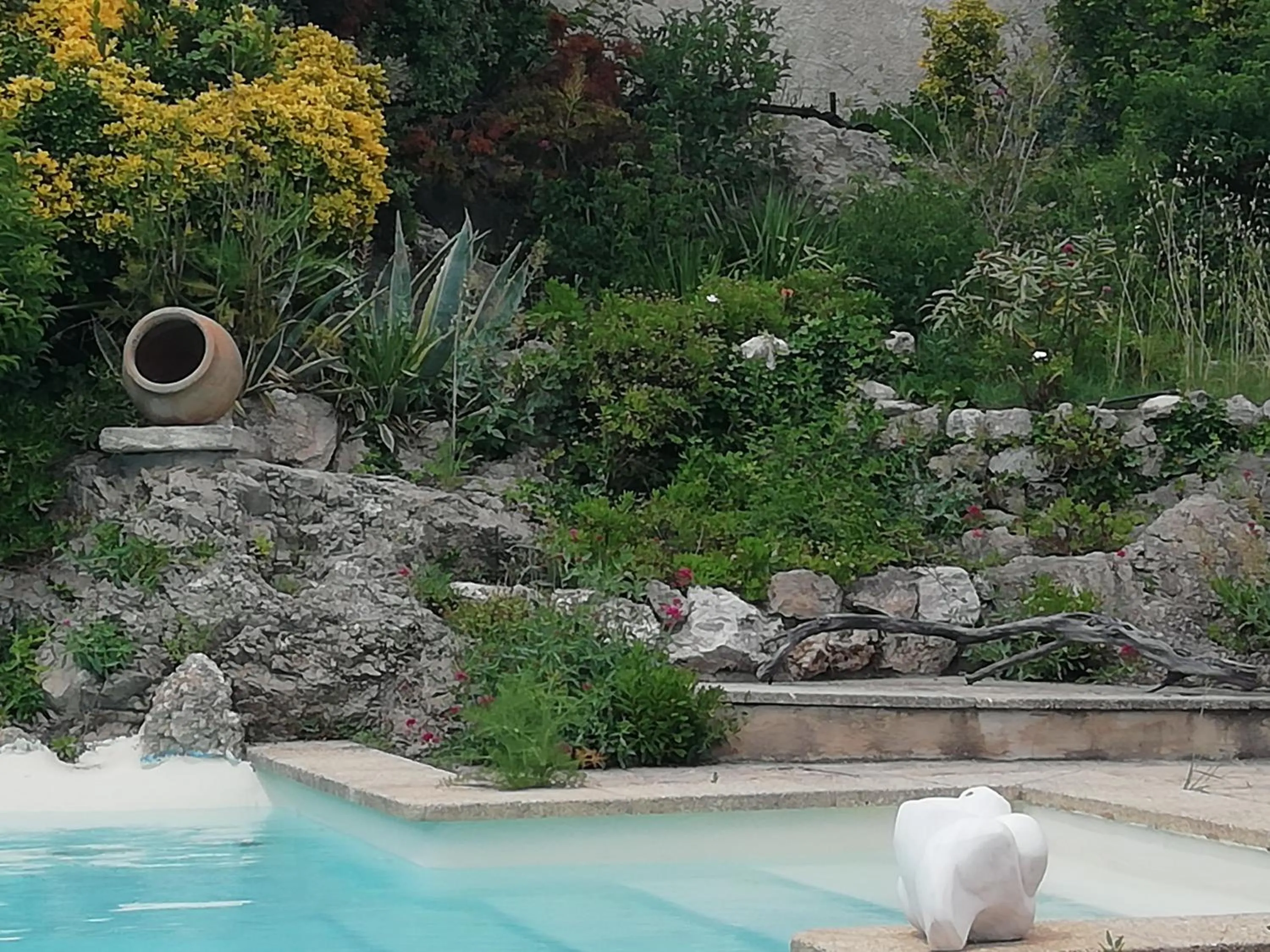 Garden in Mazet Des Artistes