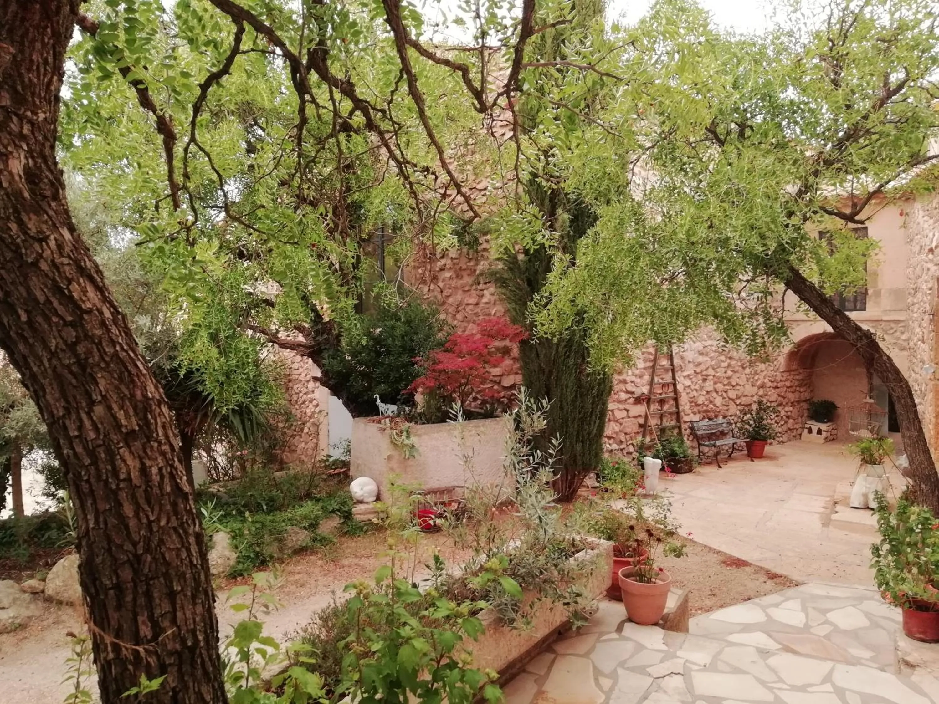 Garden in Mazet Des Artistes