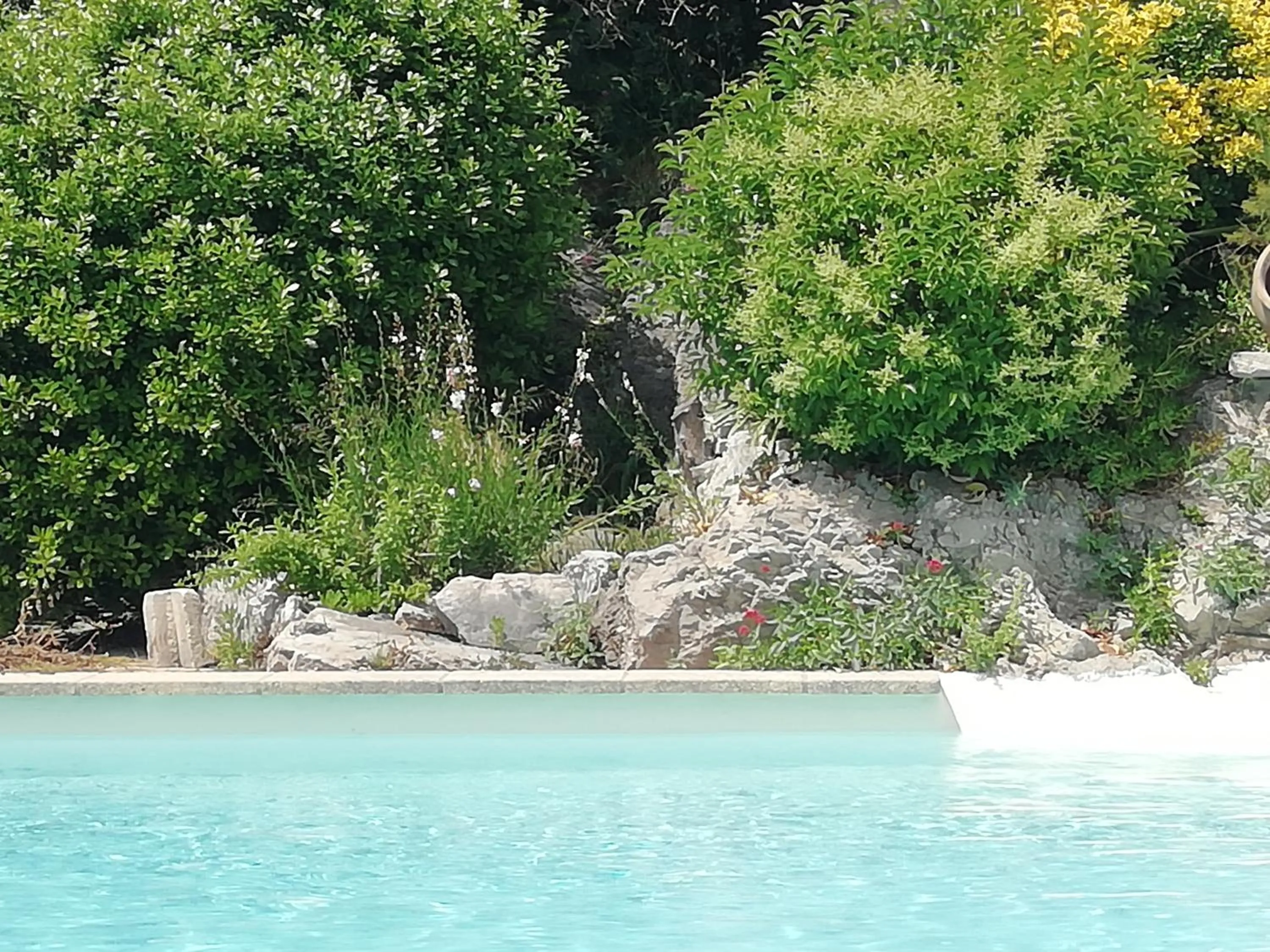 Swimming pool in Mazet Des Artistes