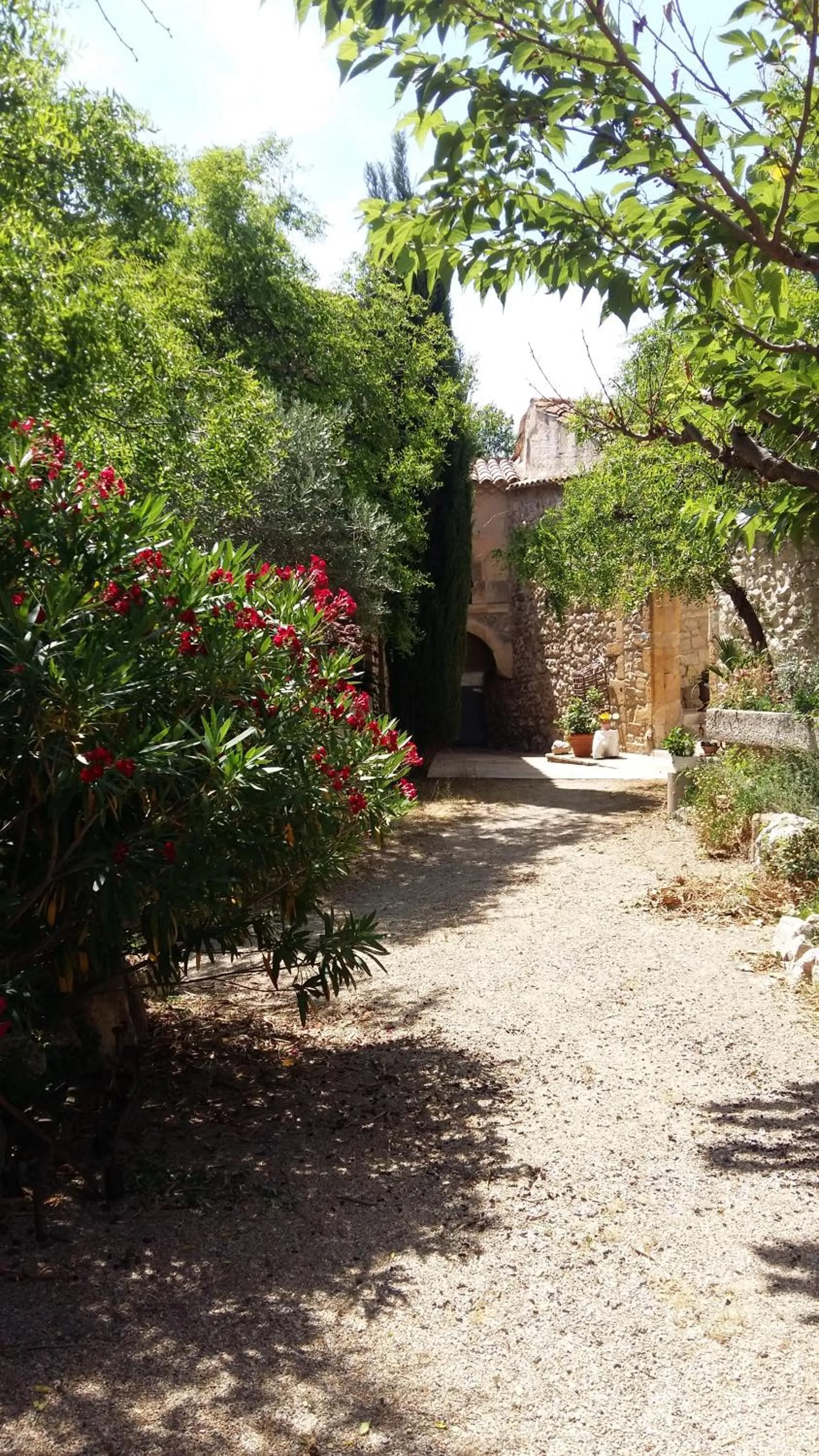 Garden in Mazet Des Artistes