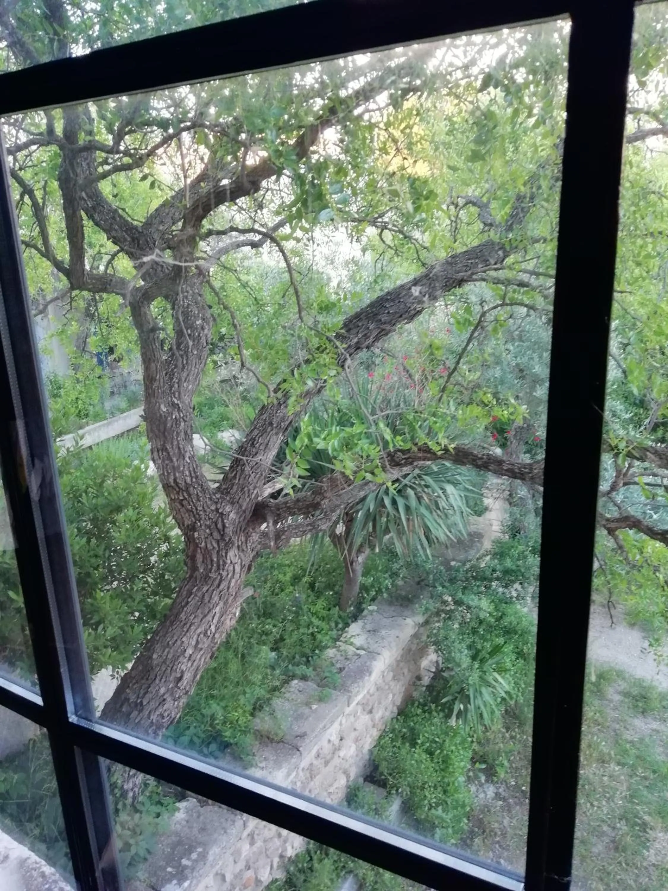 View (from property/room) in Mazet Des Artistes
