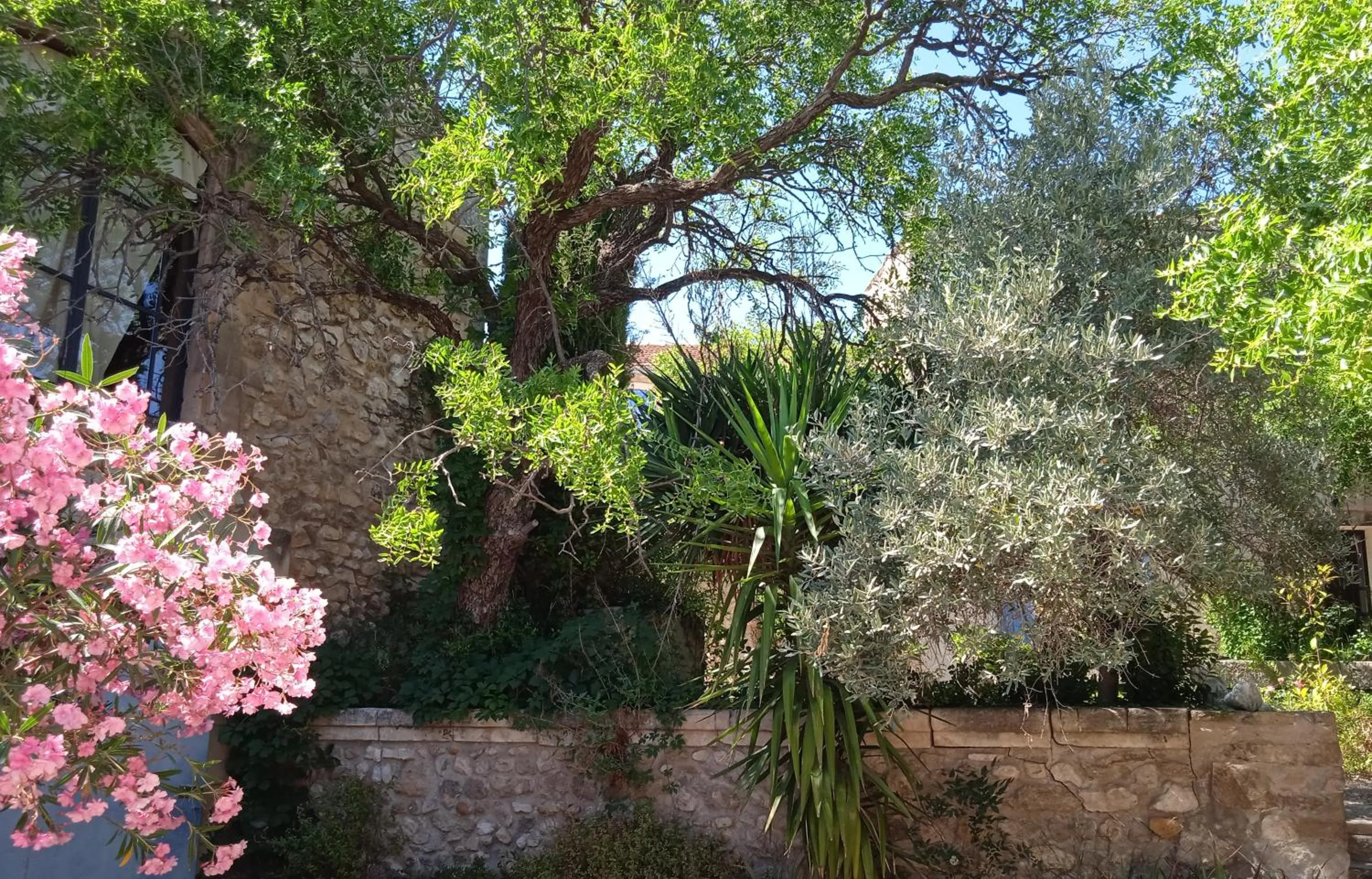 Garden in Mazet Des Artistes