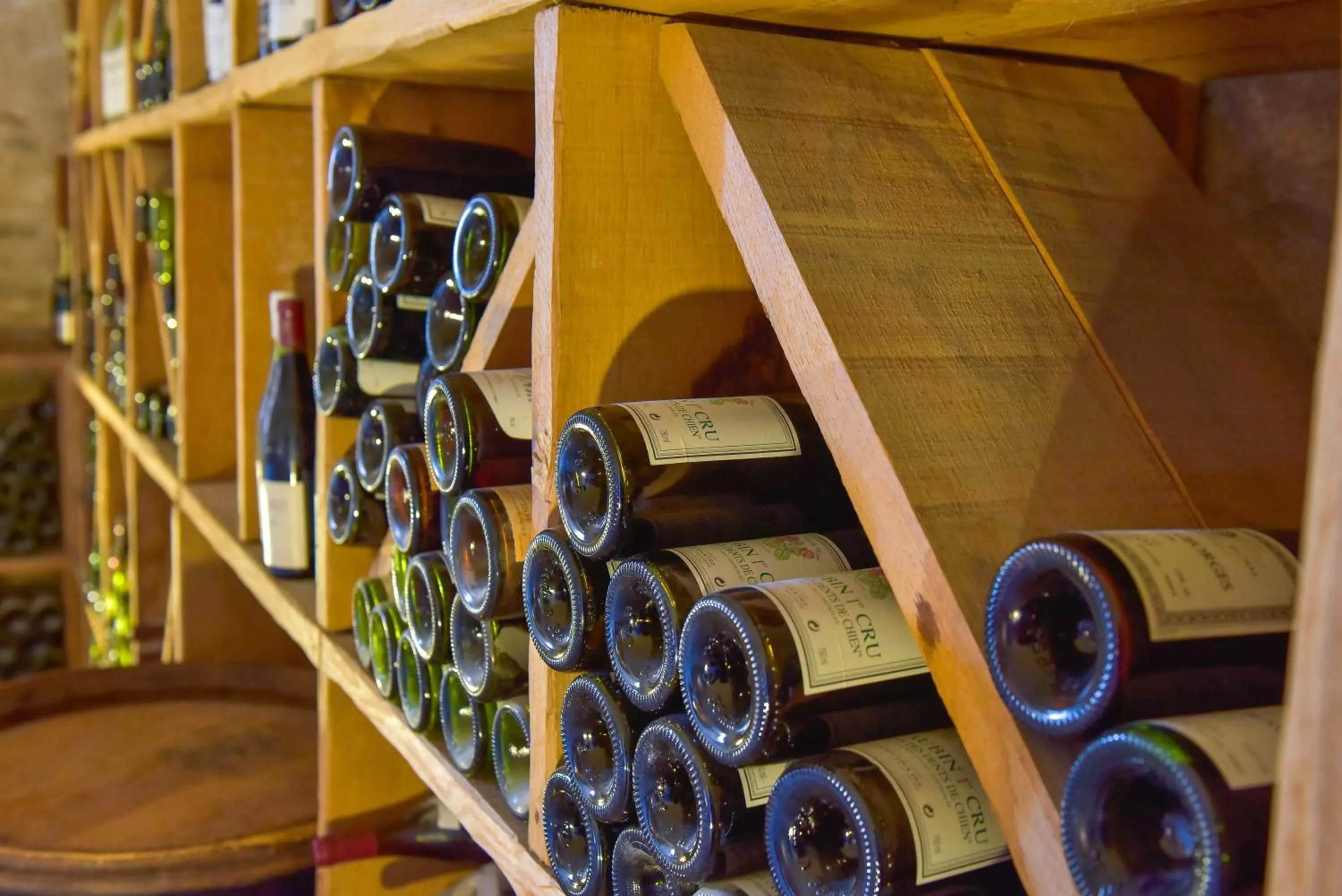 Activities in Hôtel Golf Château de Chailly