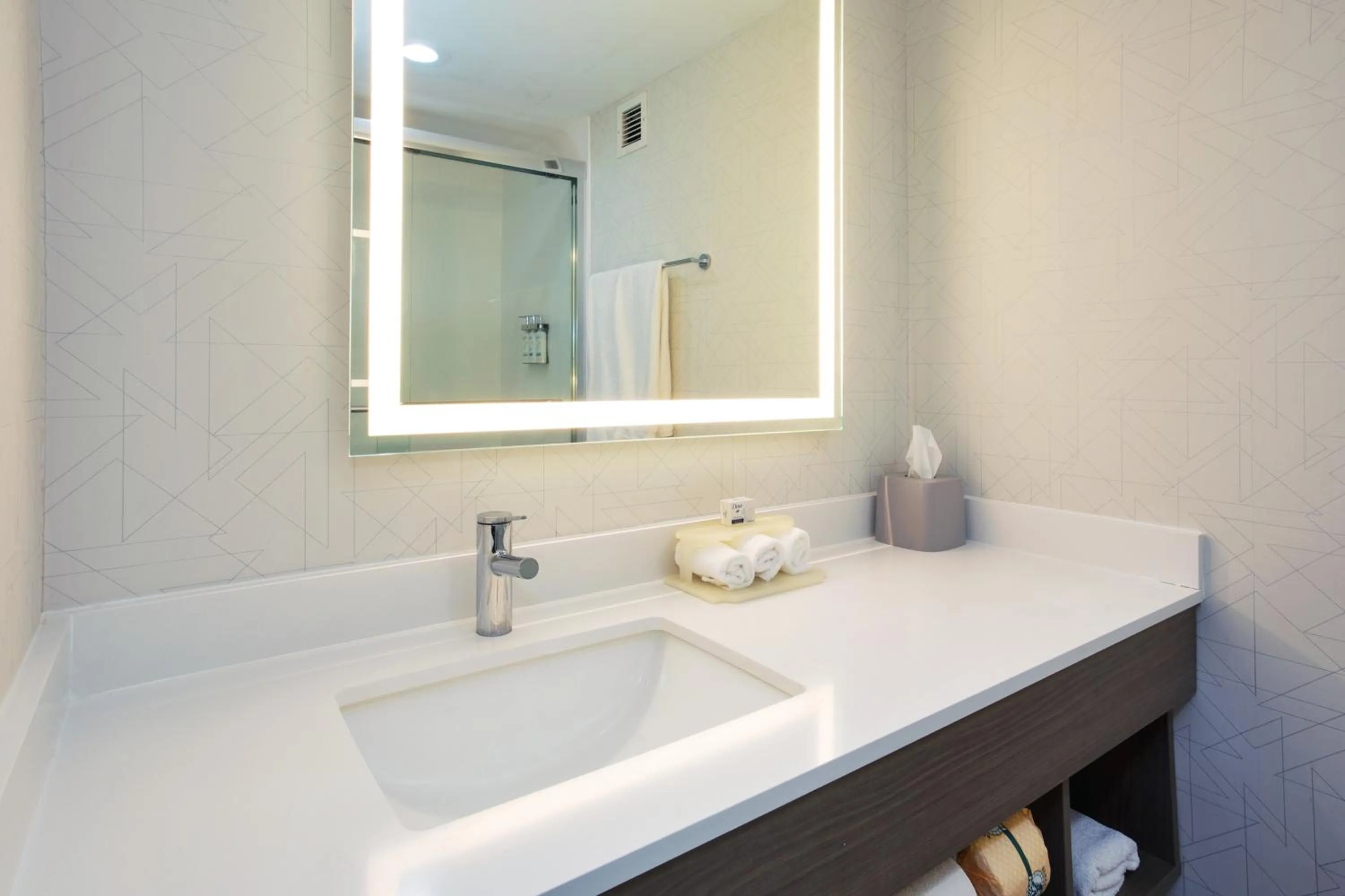 Holiday Inn Express Hotel & Suites Dover by IHG