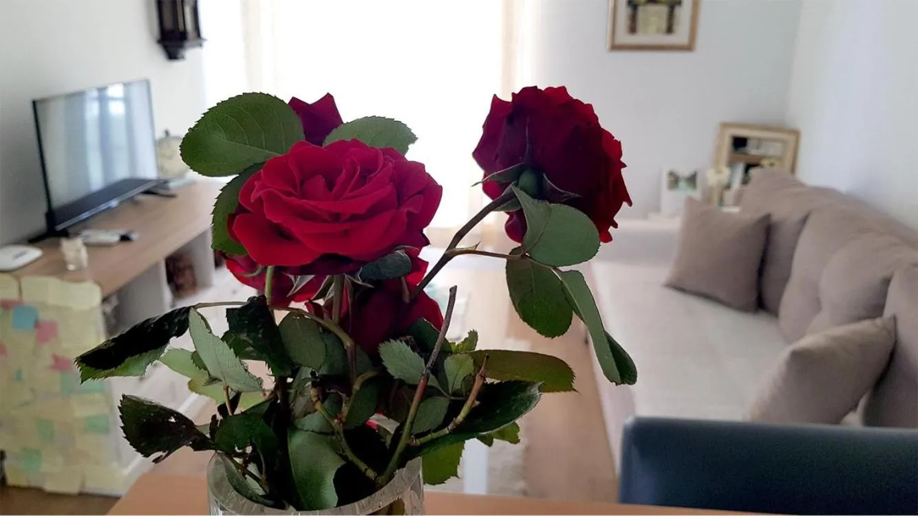 Seating area in Happy Apartments Mostar