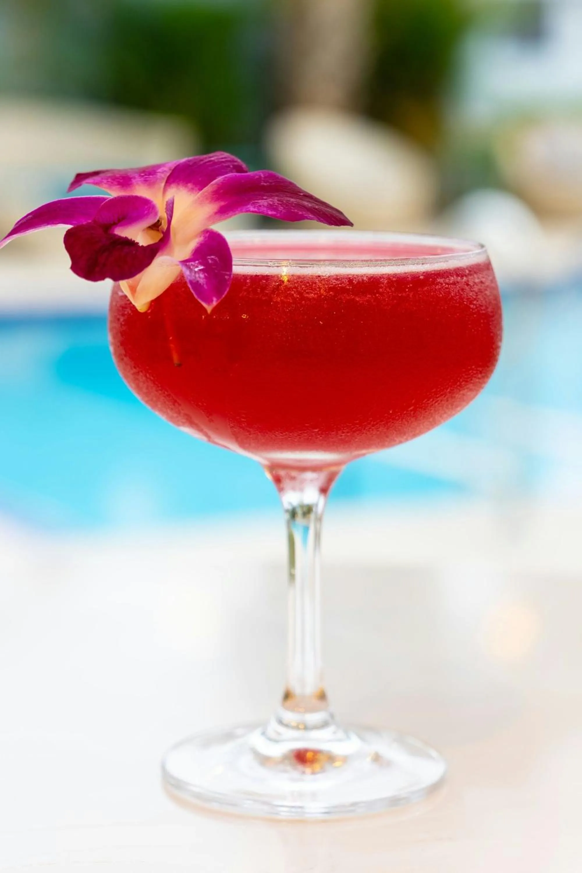 Lounge or bar in Delta Hotels by Marriott West Palm Beach