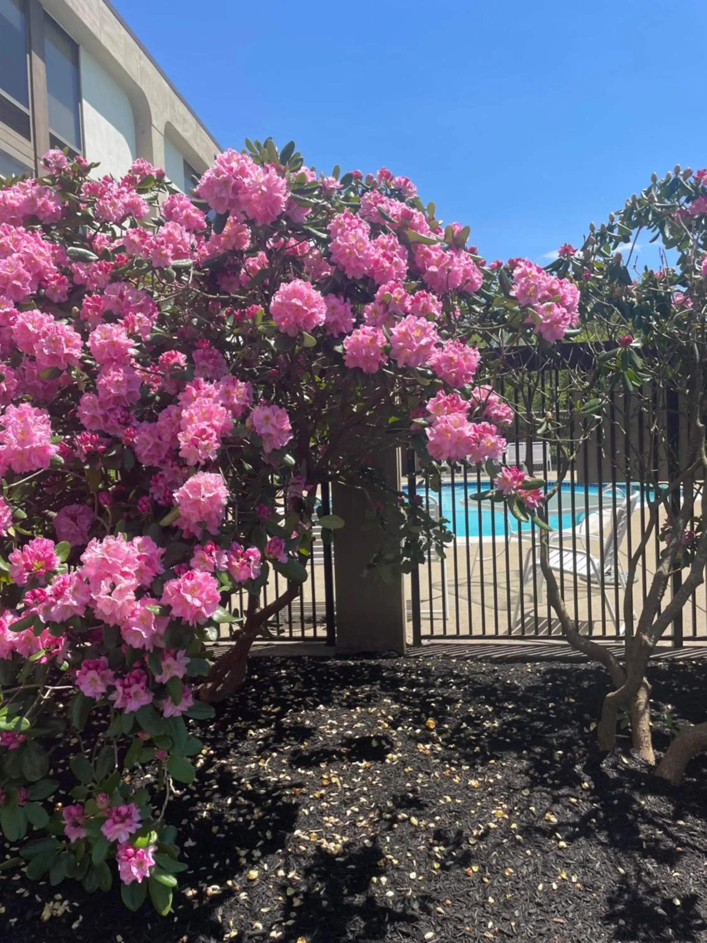 Property building in Hampton Inn New Bedford/Fairhaven Property building in Hampton Inn New Bedford/Fairhaven