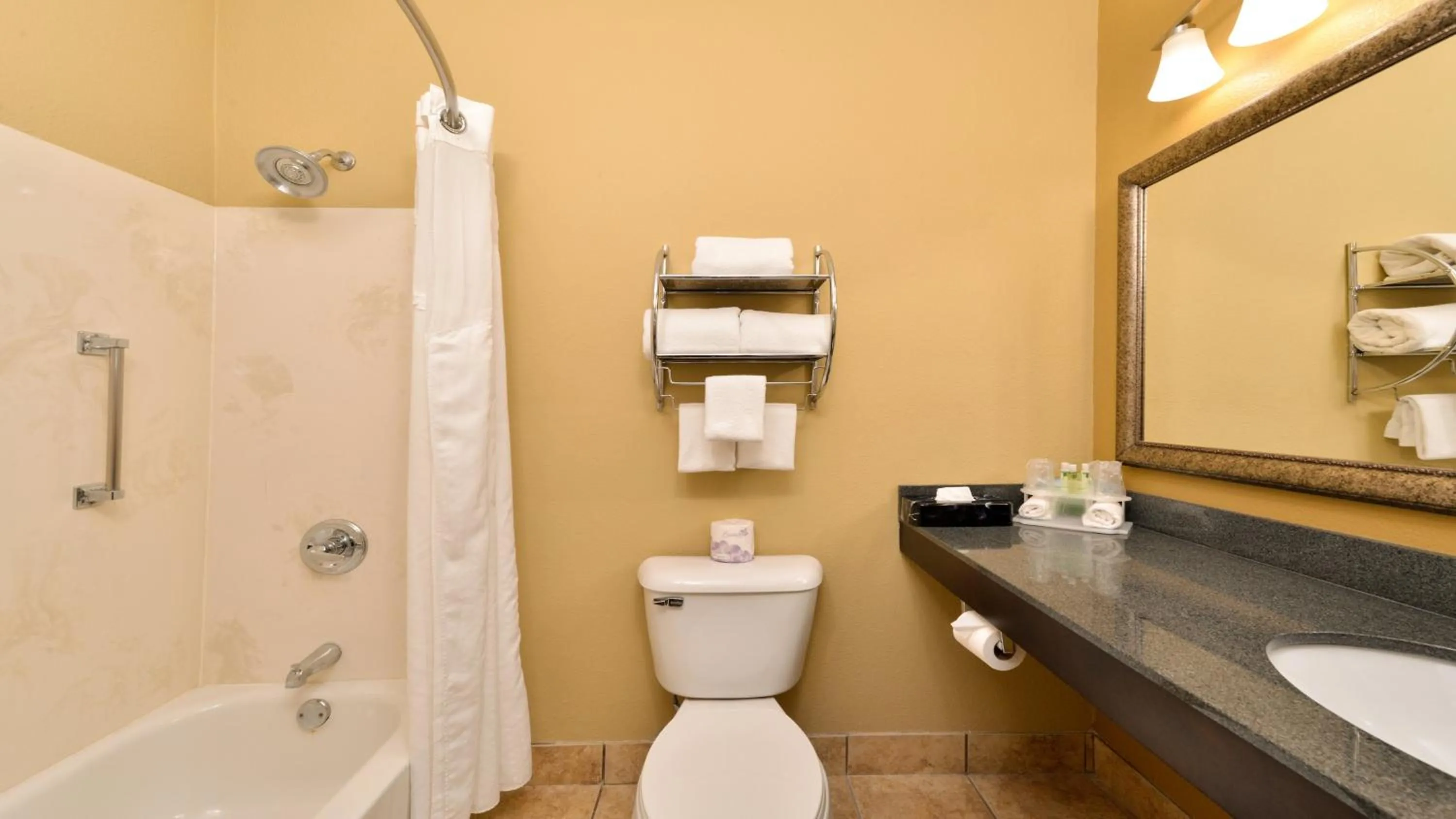 Bathroom in Holiday Inn Express Hotel & Suites Cincinnati-North/Sharonville