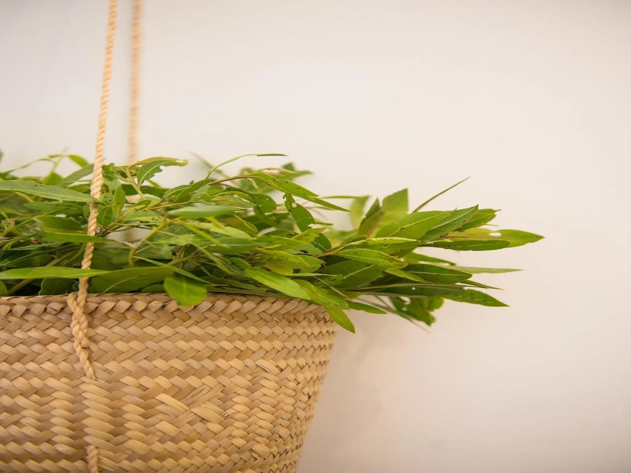 Decorative detail in Villas HM Palapas del Mar