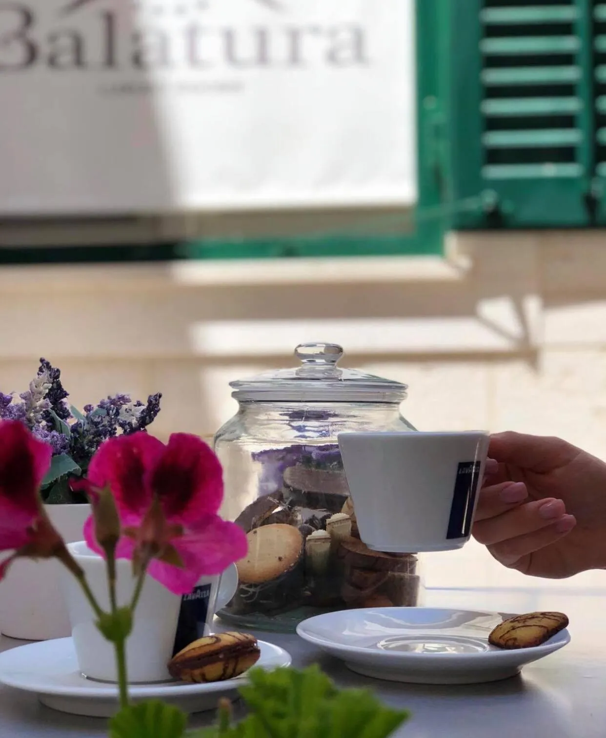 Garden in Balatura The Fine Bed&Breakfast Split