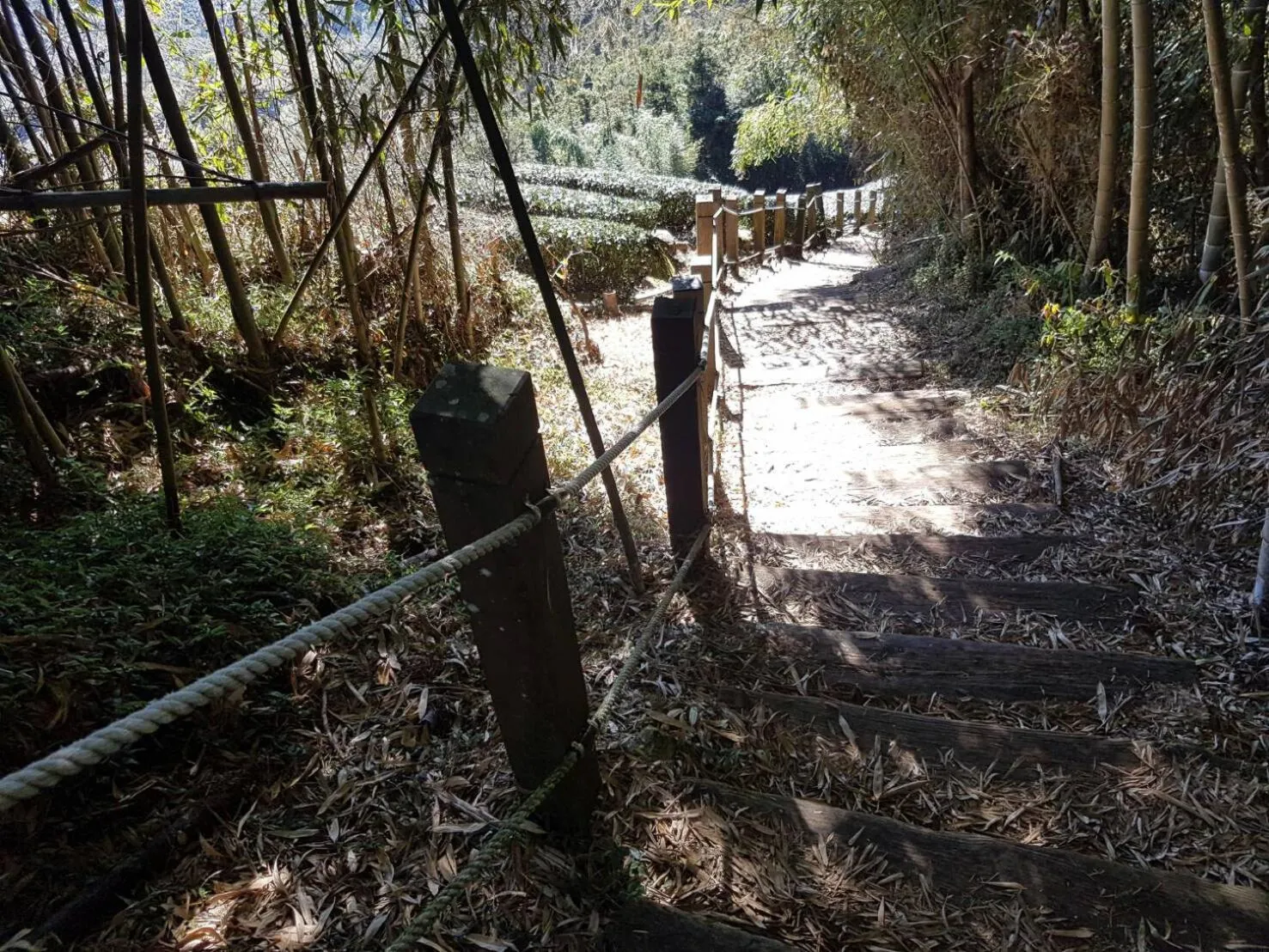 Spring in Ming Yang B&B